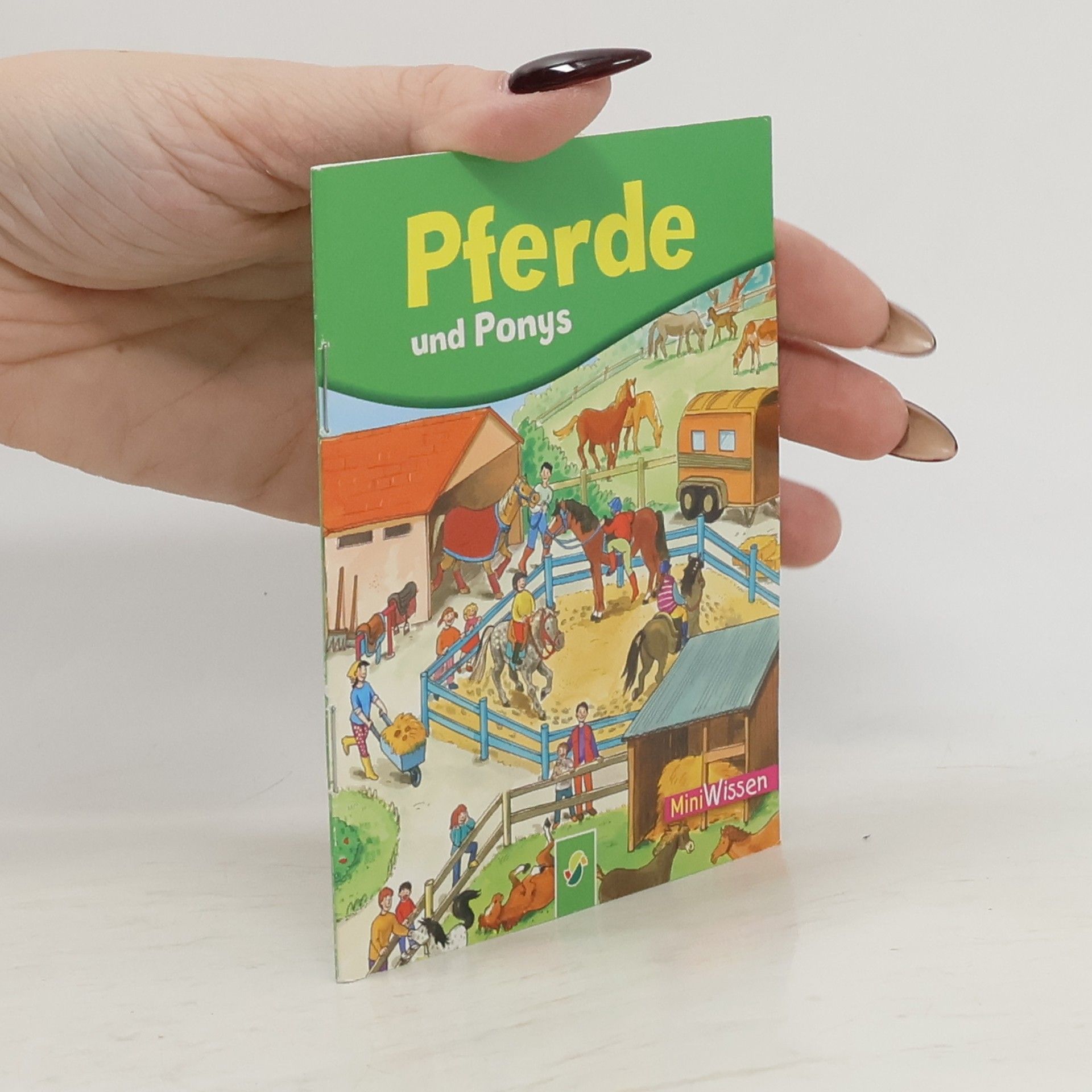 Lisa Maurer Pferde und Ponys