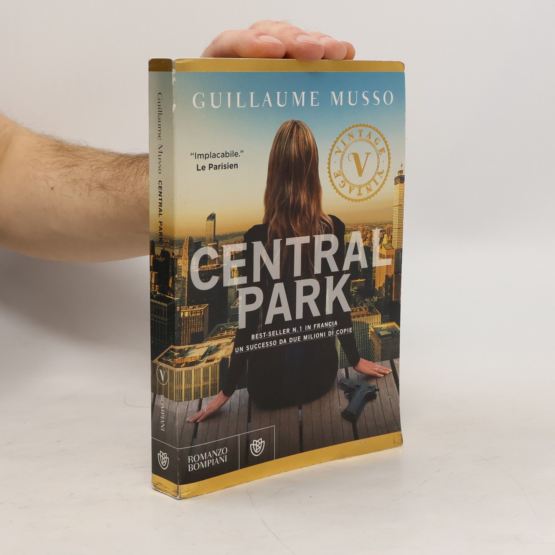 Guillaume Musso Central Park