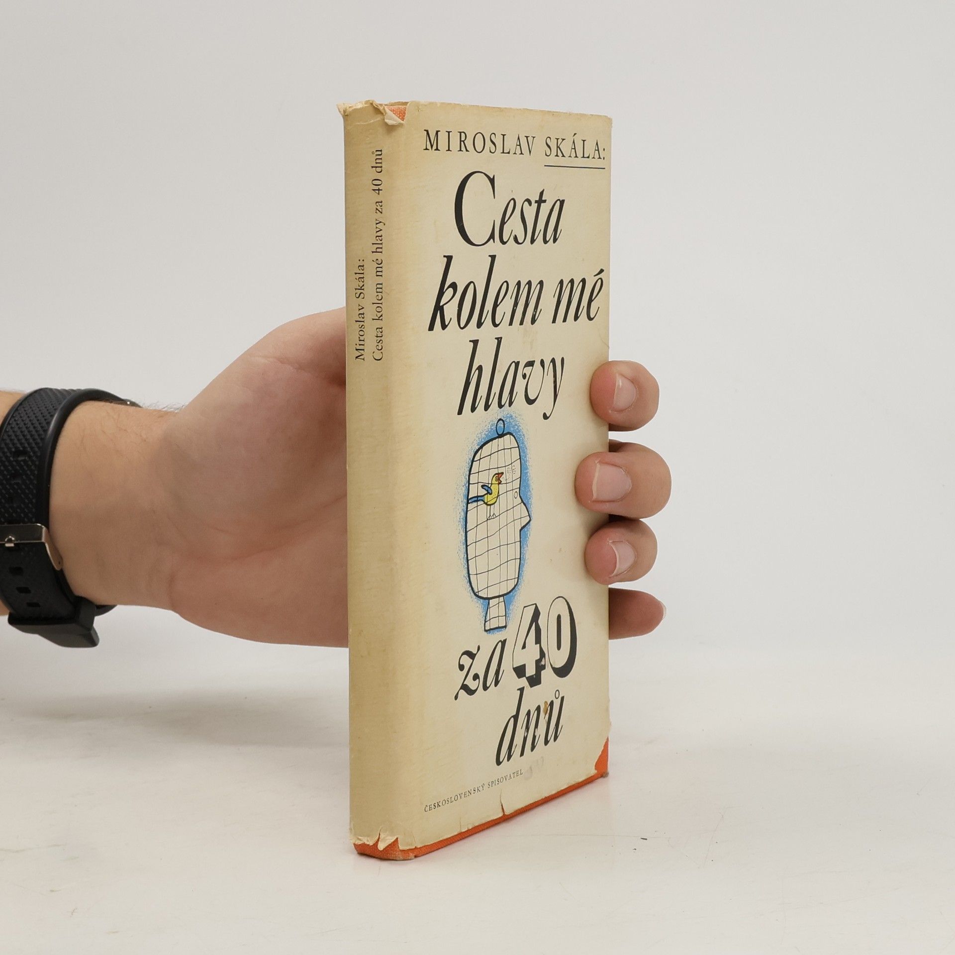 Cesta kolem mé hlavy za 40 dnů