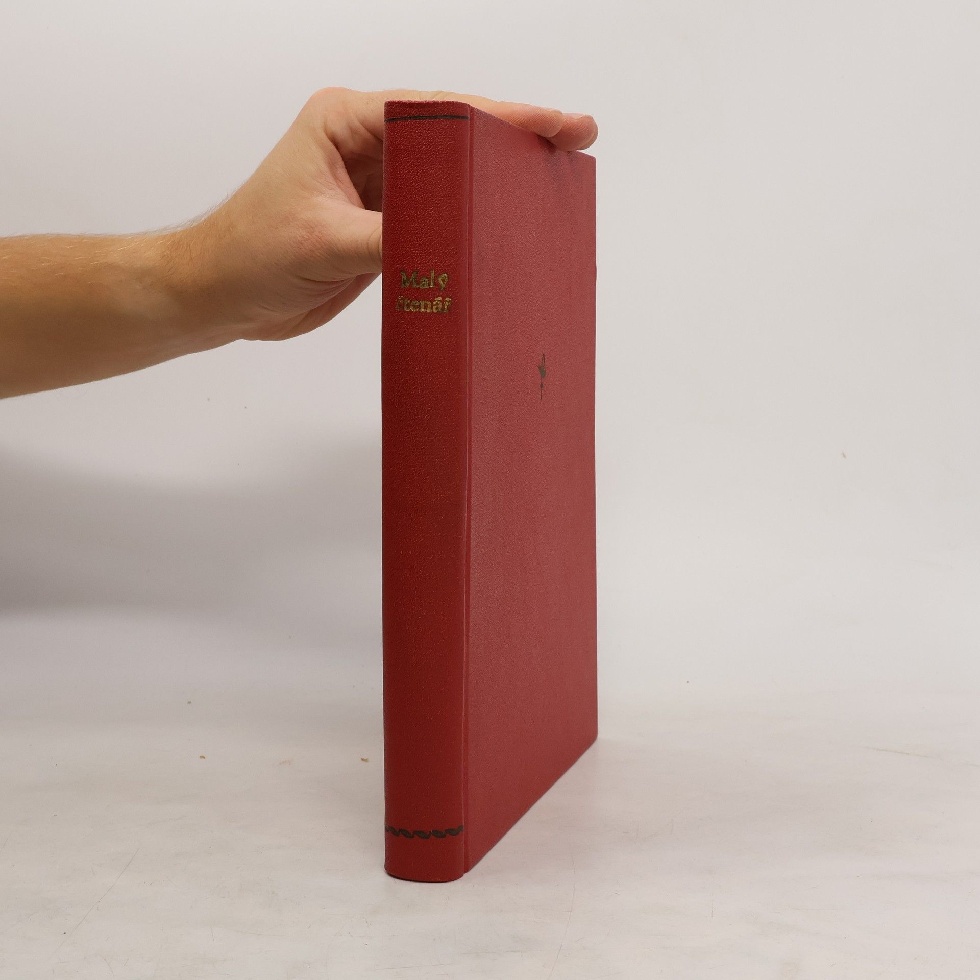 Collectif d'auteurs Malý čtenář, kniha české mládeže