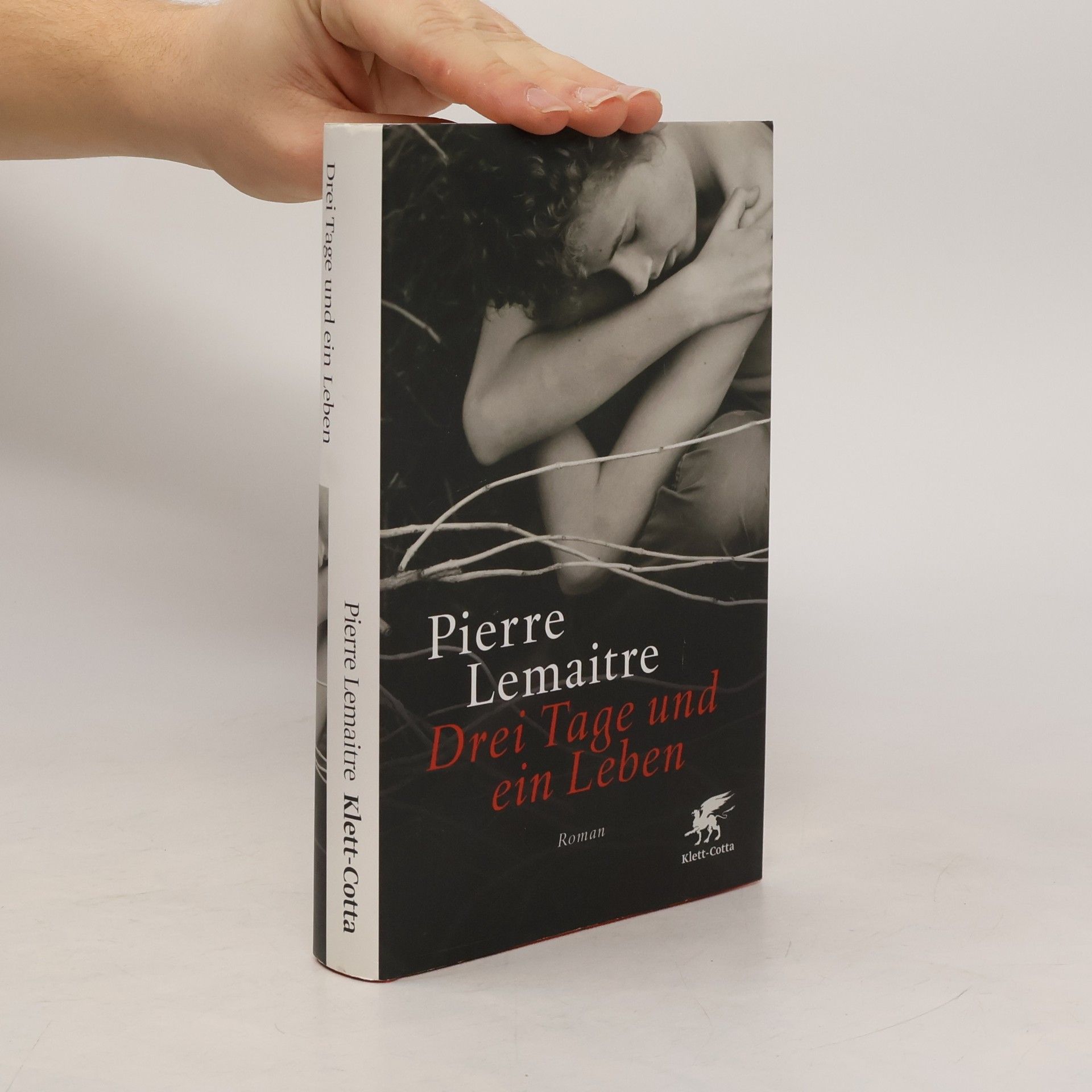 Pierre Lemaitre Drei Tage und ein Leben