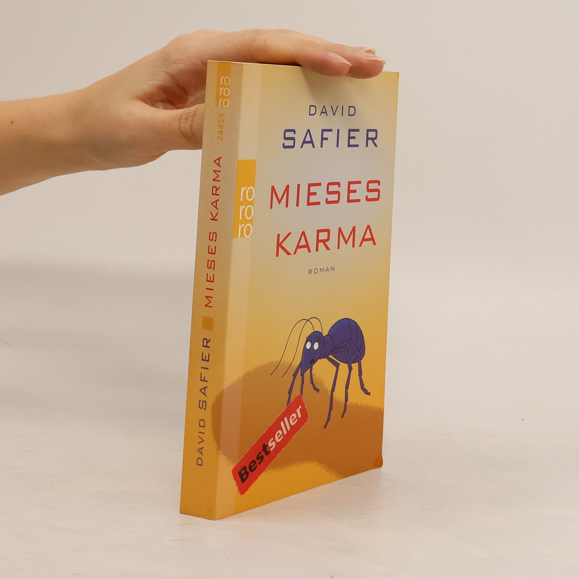 David Safier Mieses Karma