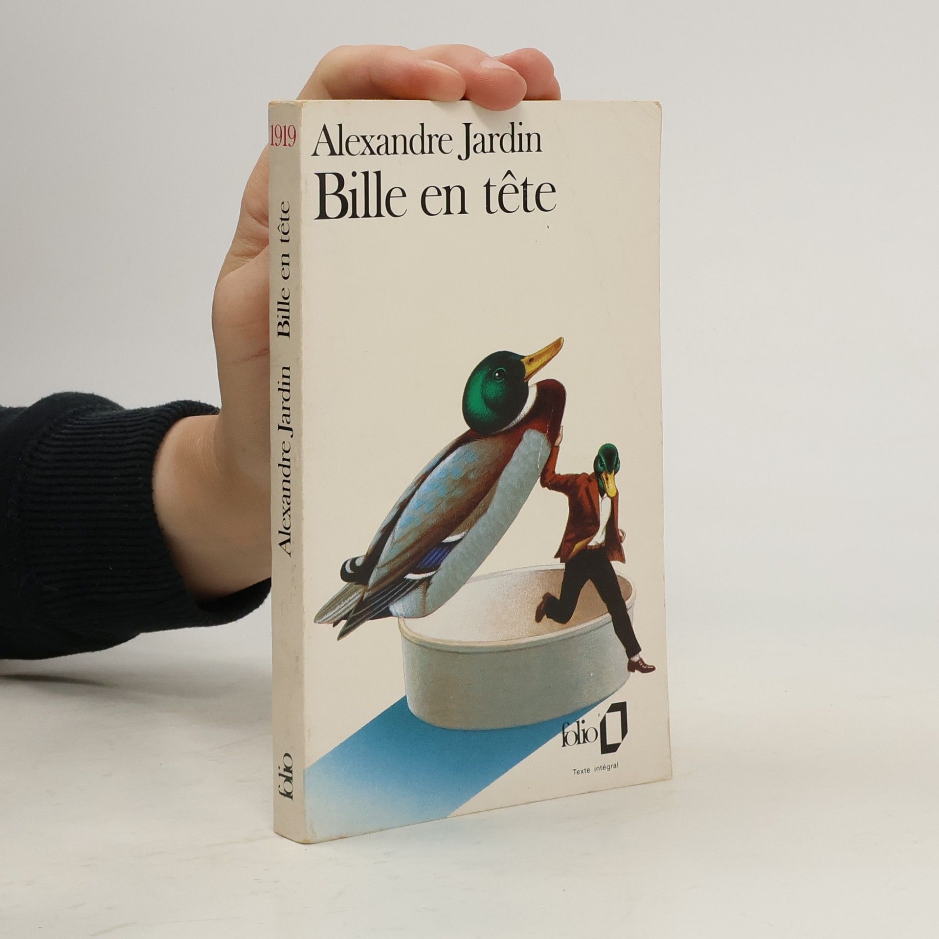 Alexandre Jardin Bille en tête