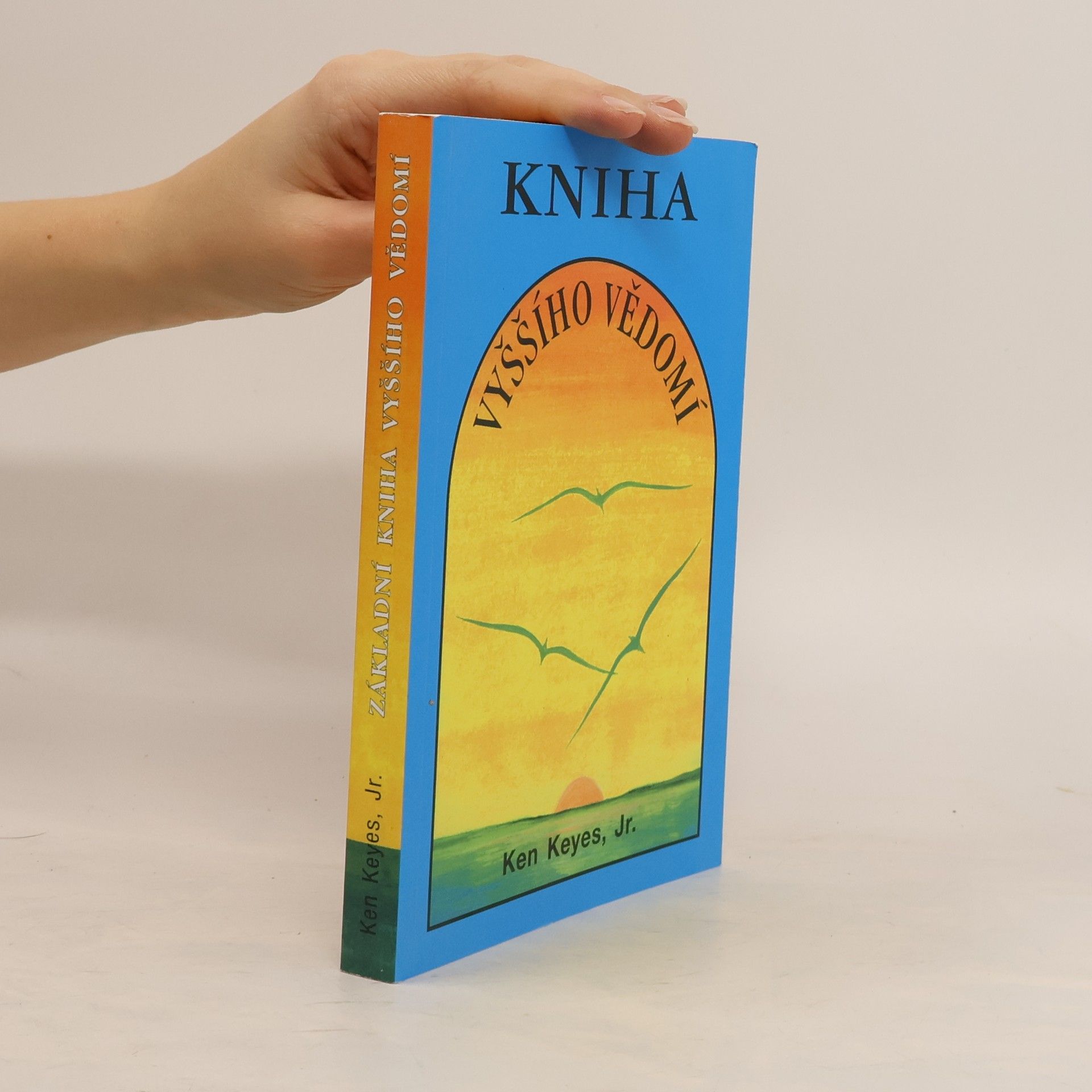 Ken Keyes Základní kniha vyššího vědomí
