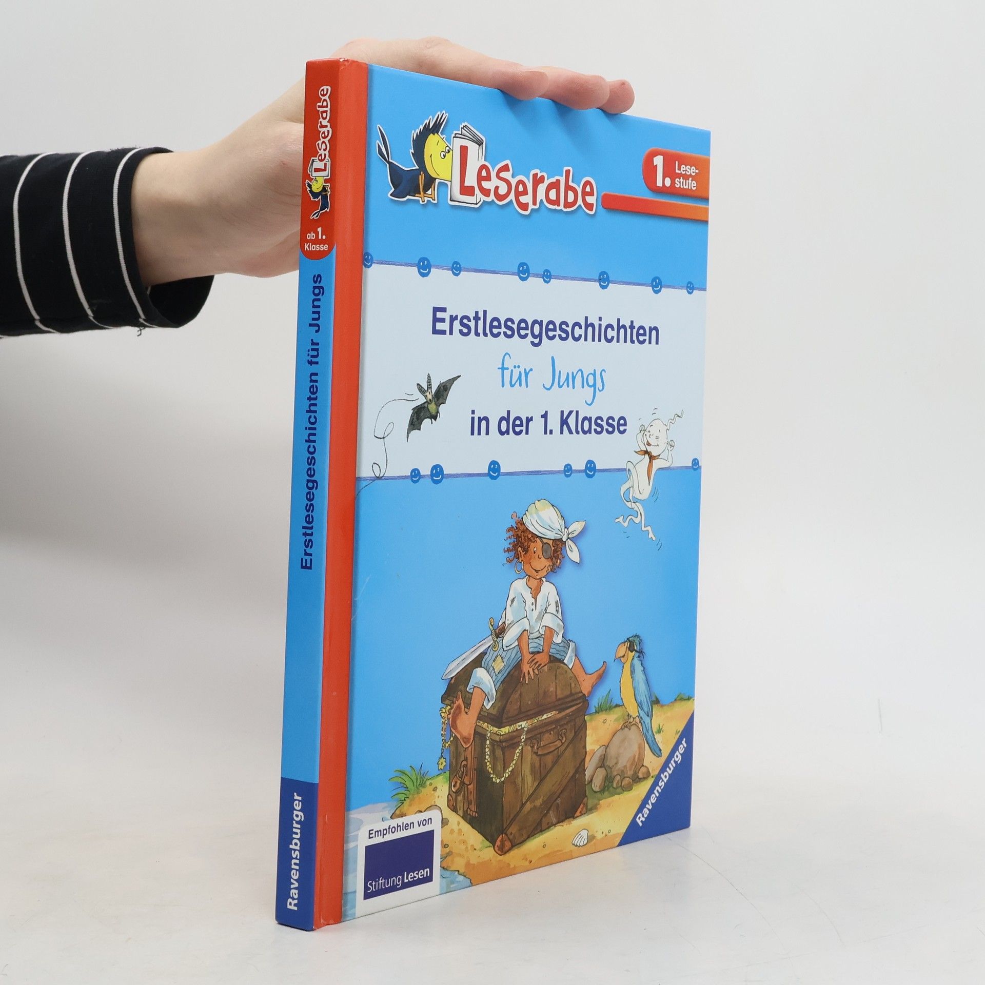 Silke Voigt Erstlesegeschichten für Jungs in der 1. Klasse