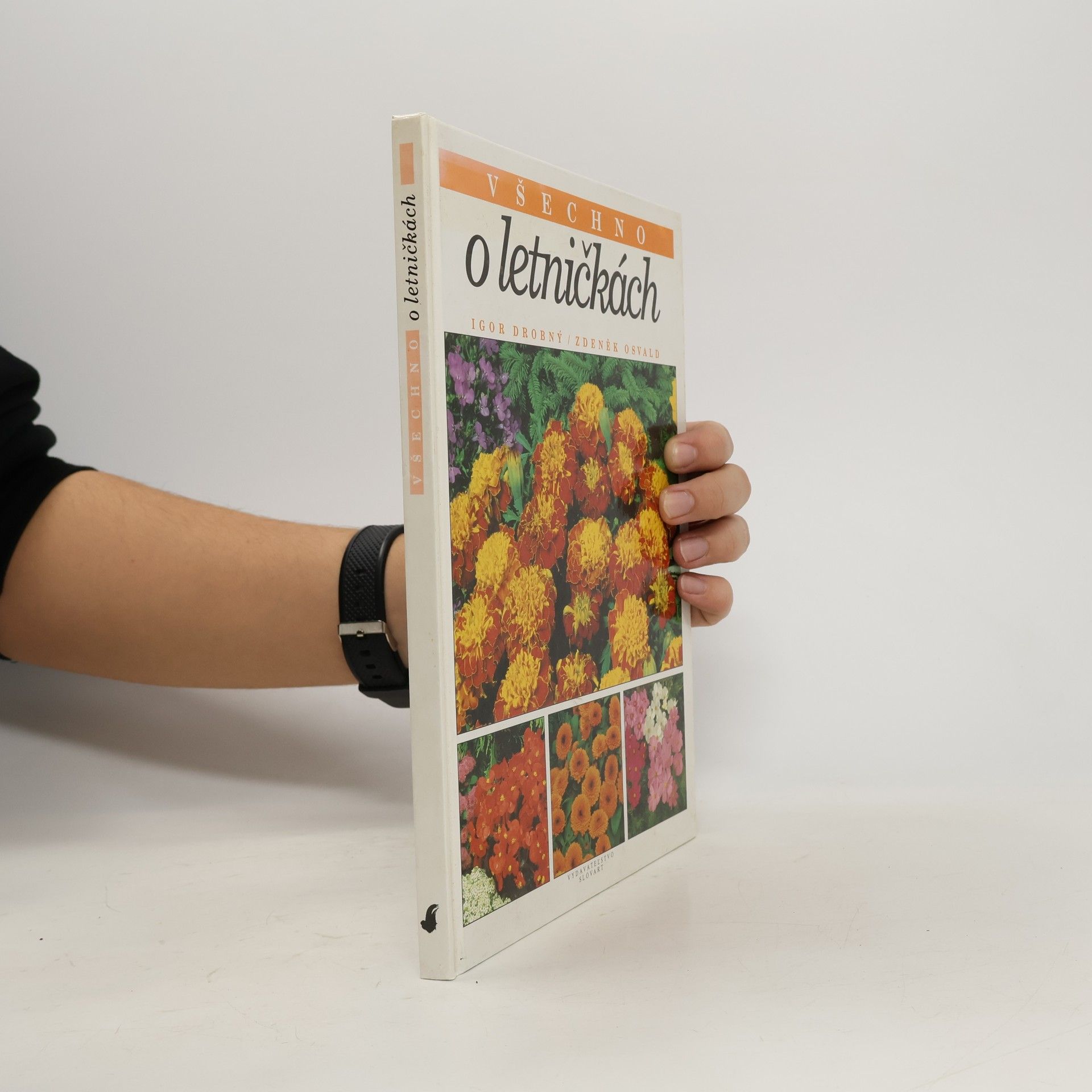 Všechno o letničkách