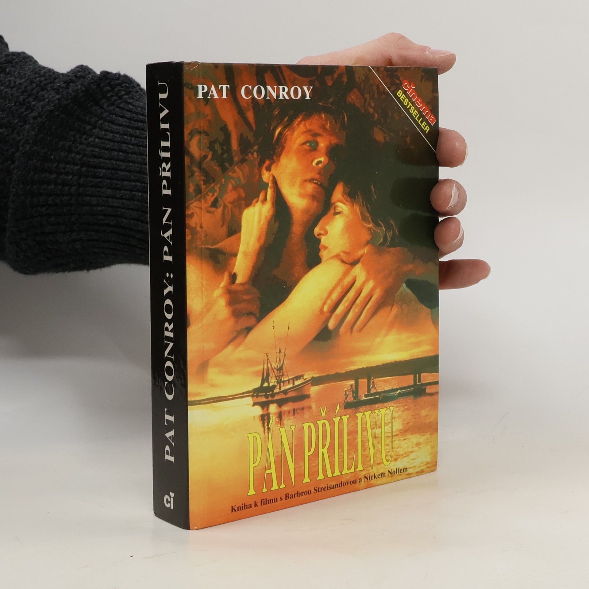 Pat Conroy Pán přílivu