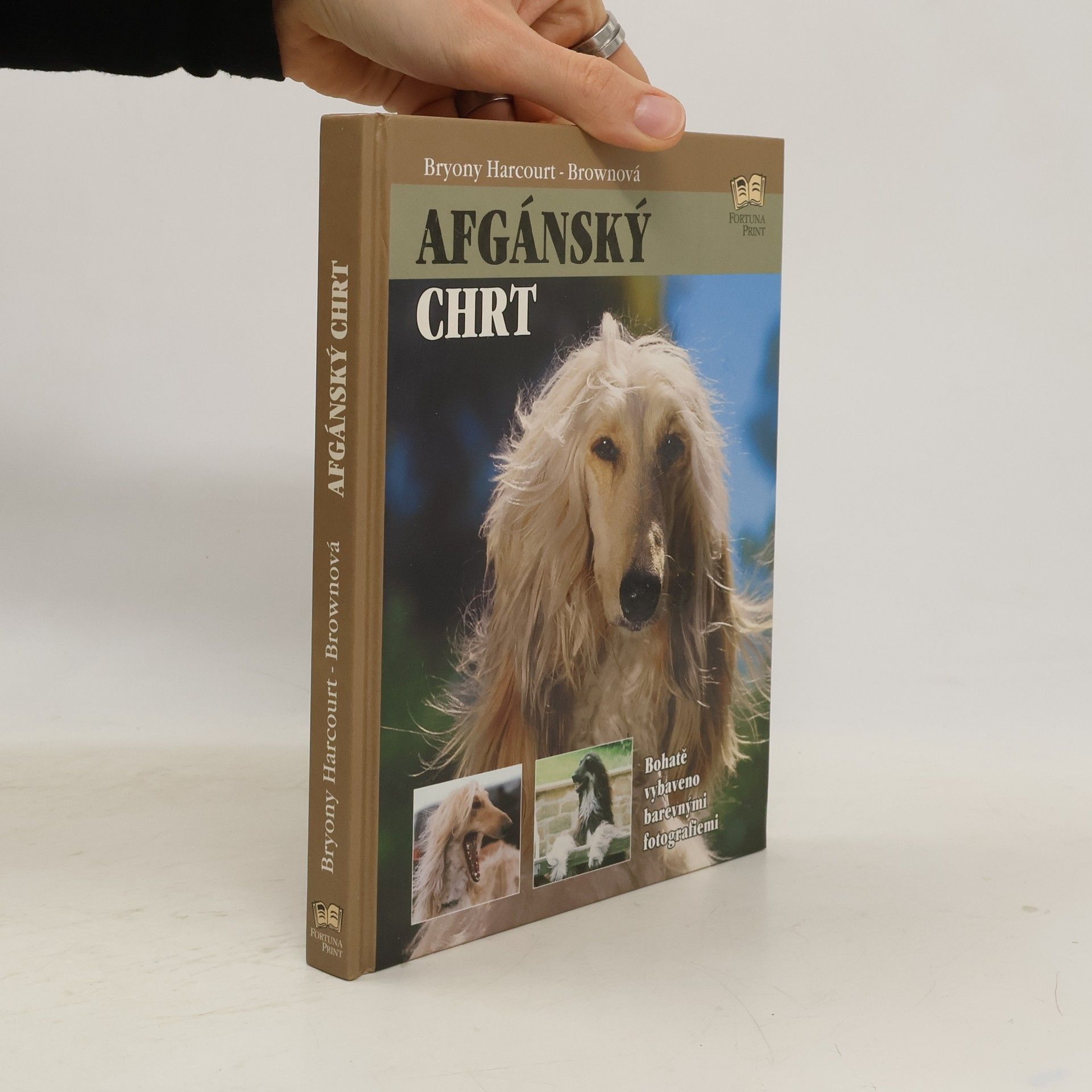 Bryony Harcourt Brown Afgánský chrt