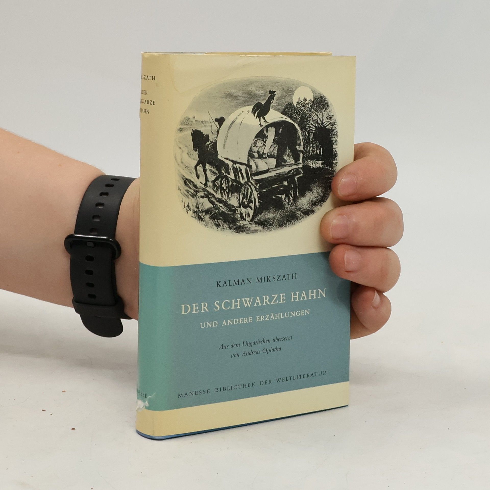 Kálmán Mikszáth Der schwarze Hahn