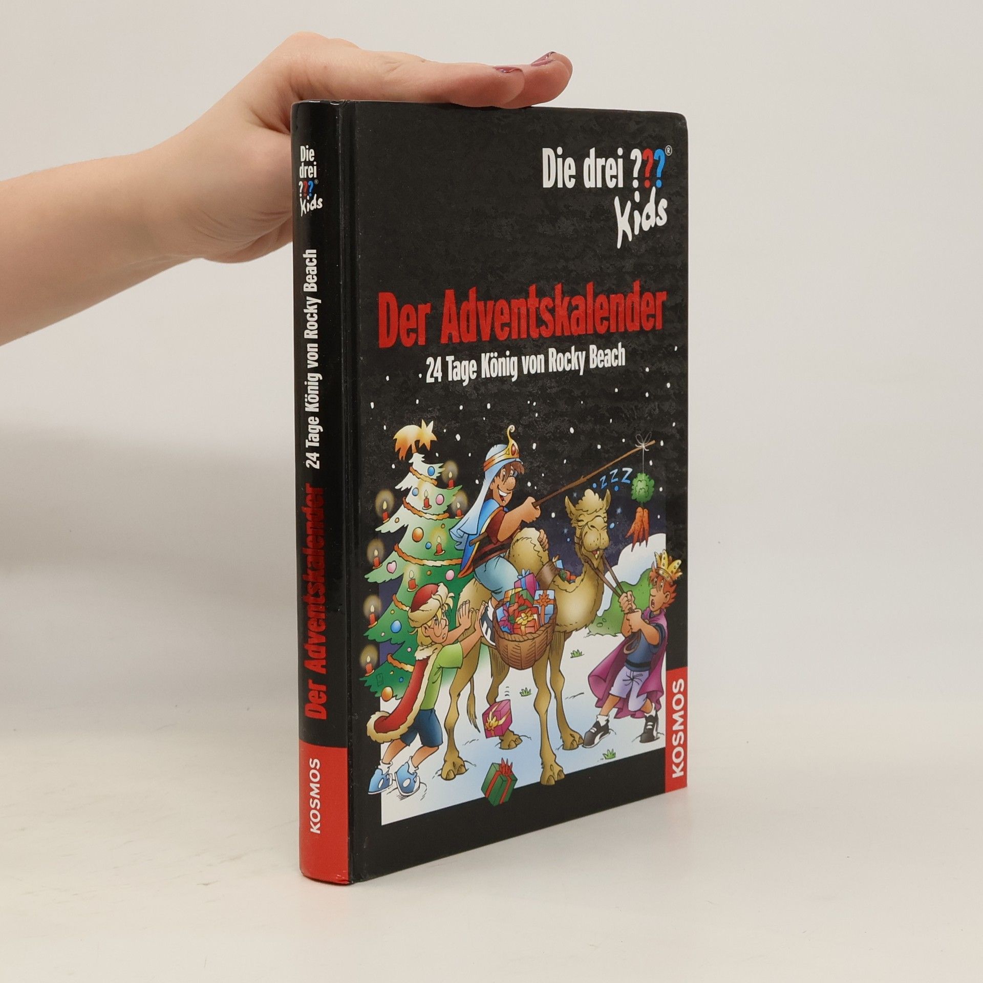 Boris Pfeiffer Der Adventskalender - 24 Tage König von Rocky Beach