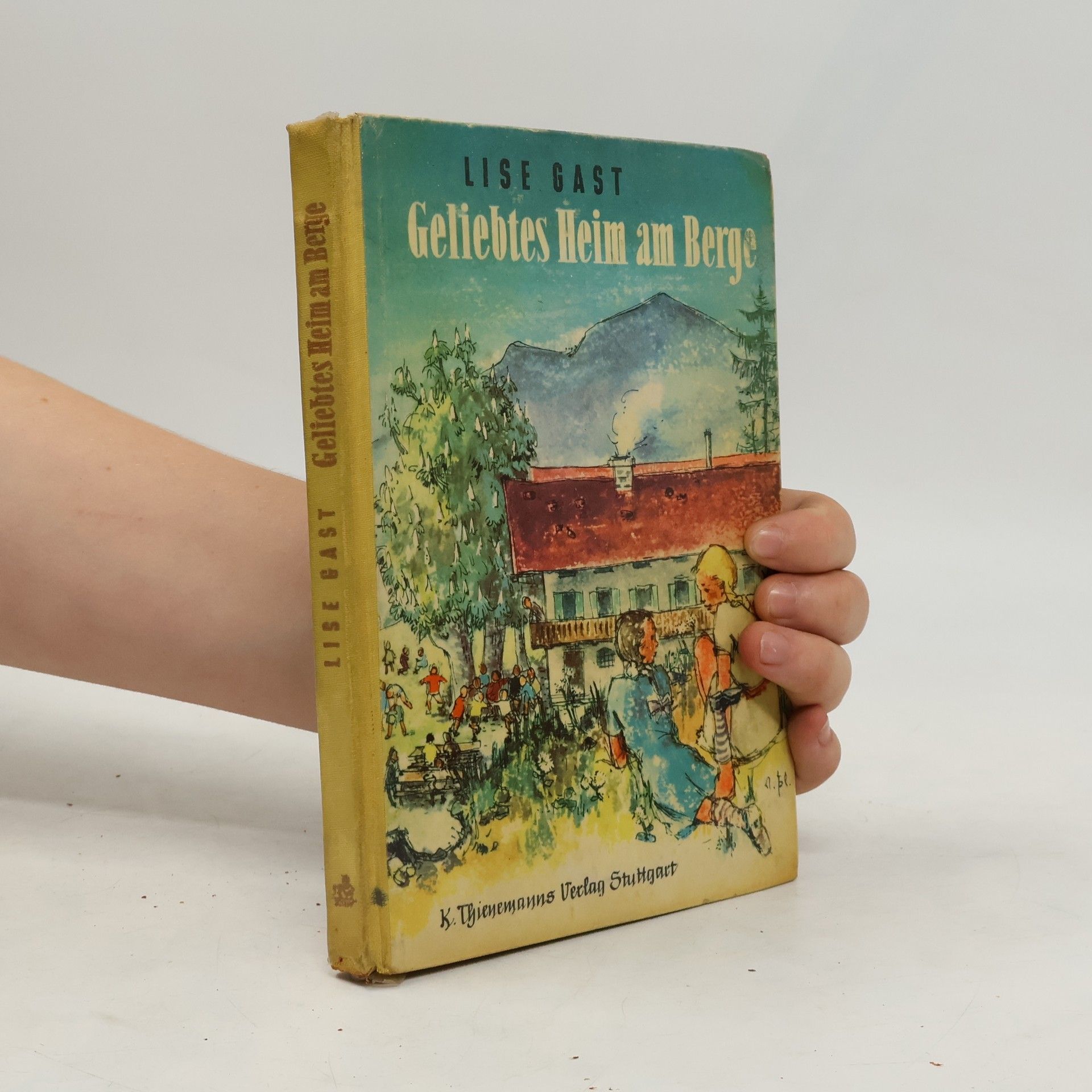 Lisa Gast Geliebtes Heim am Berge