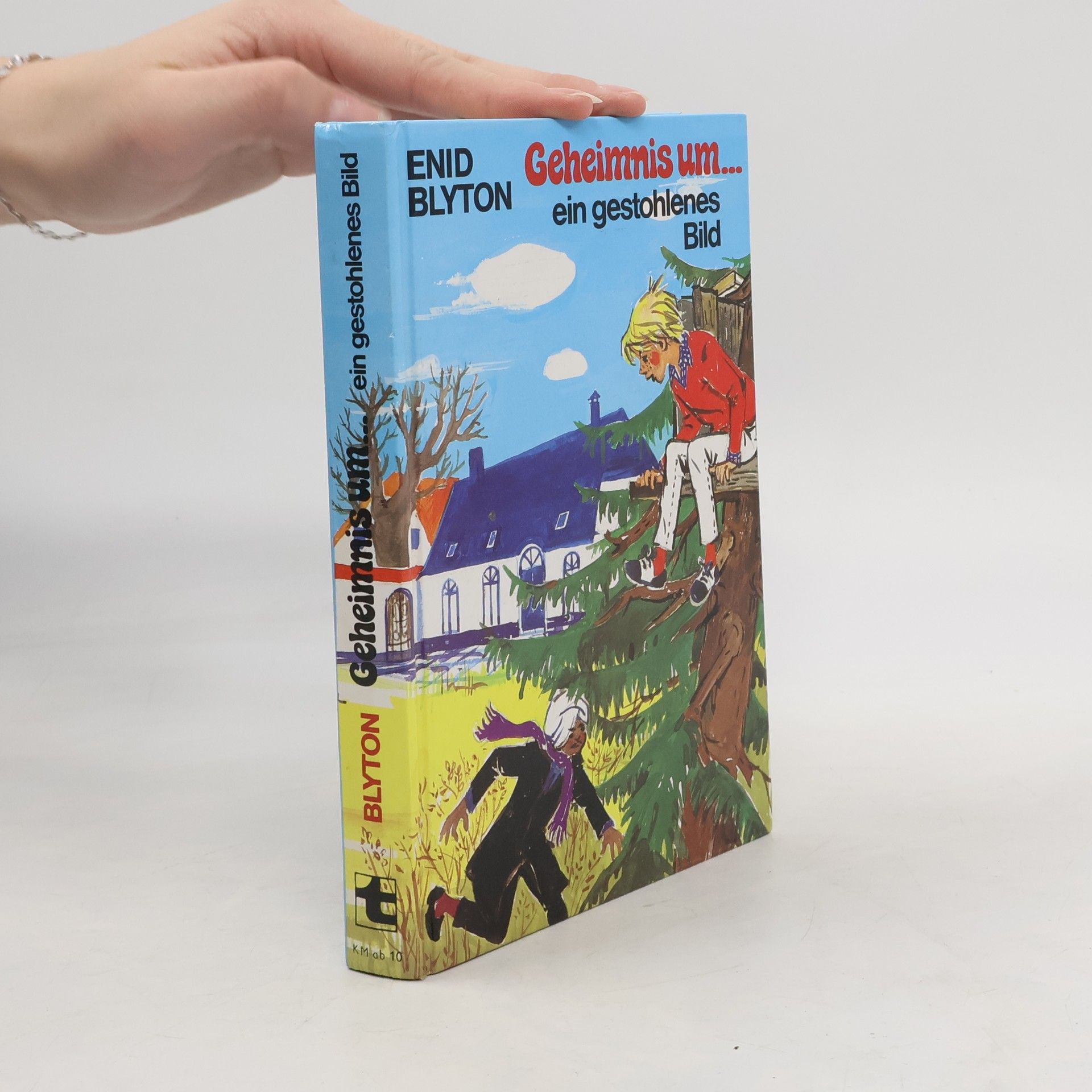 Enid Blyton Geheimnis um ein gestohlenes Bild