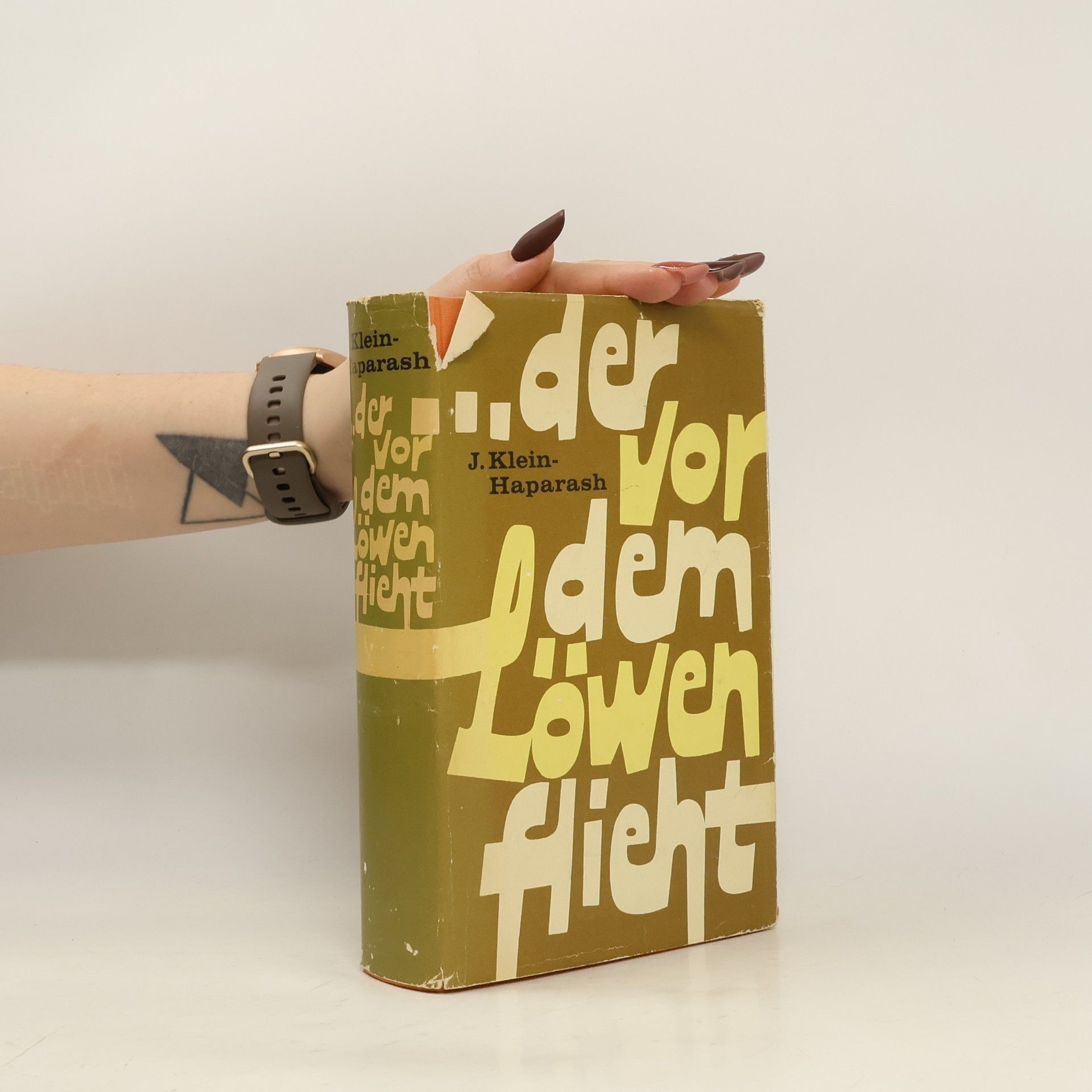 Der vor dem Löwen flieht