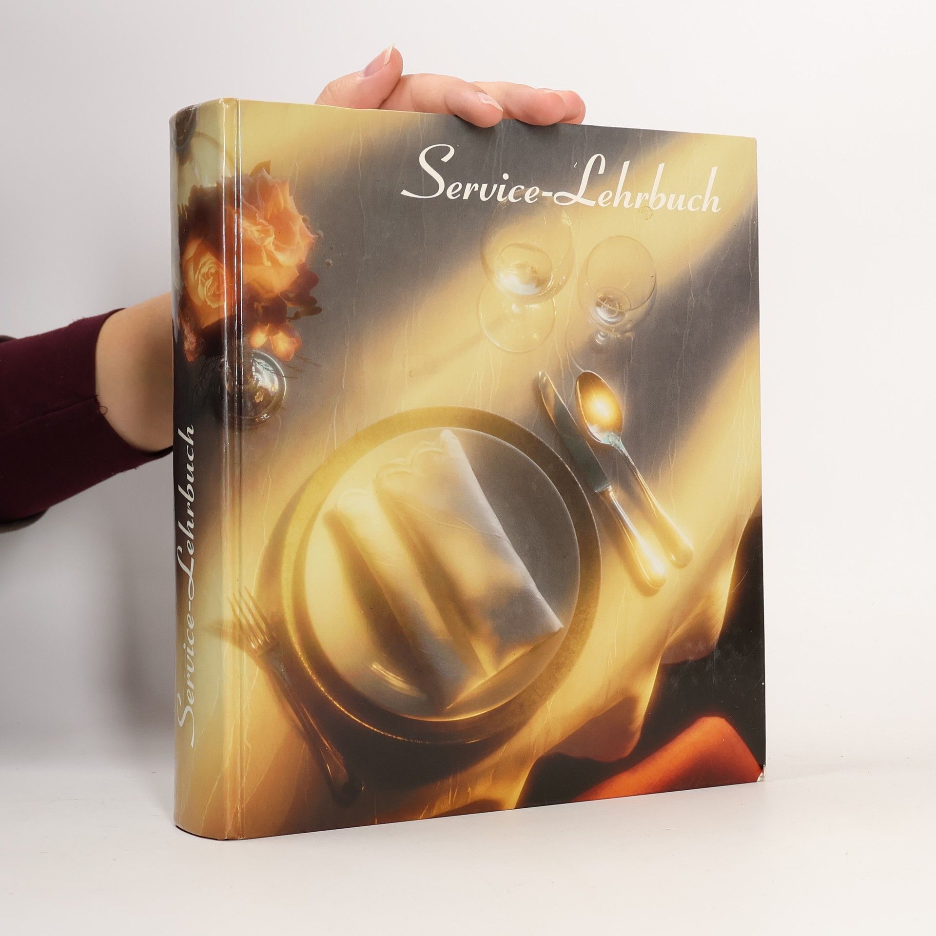 Rainer Burri Service-Lehrbuch