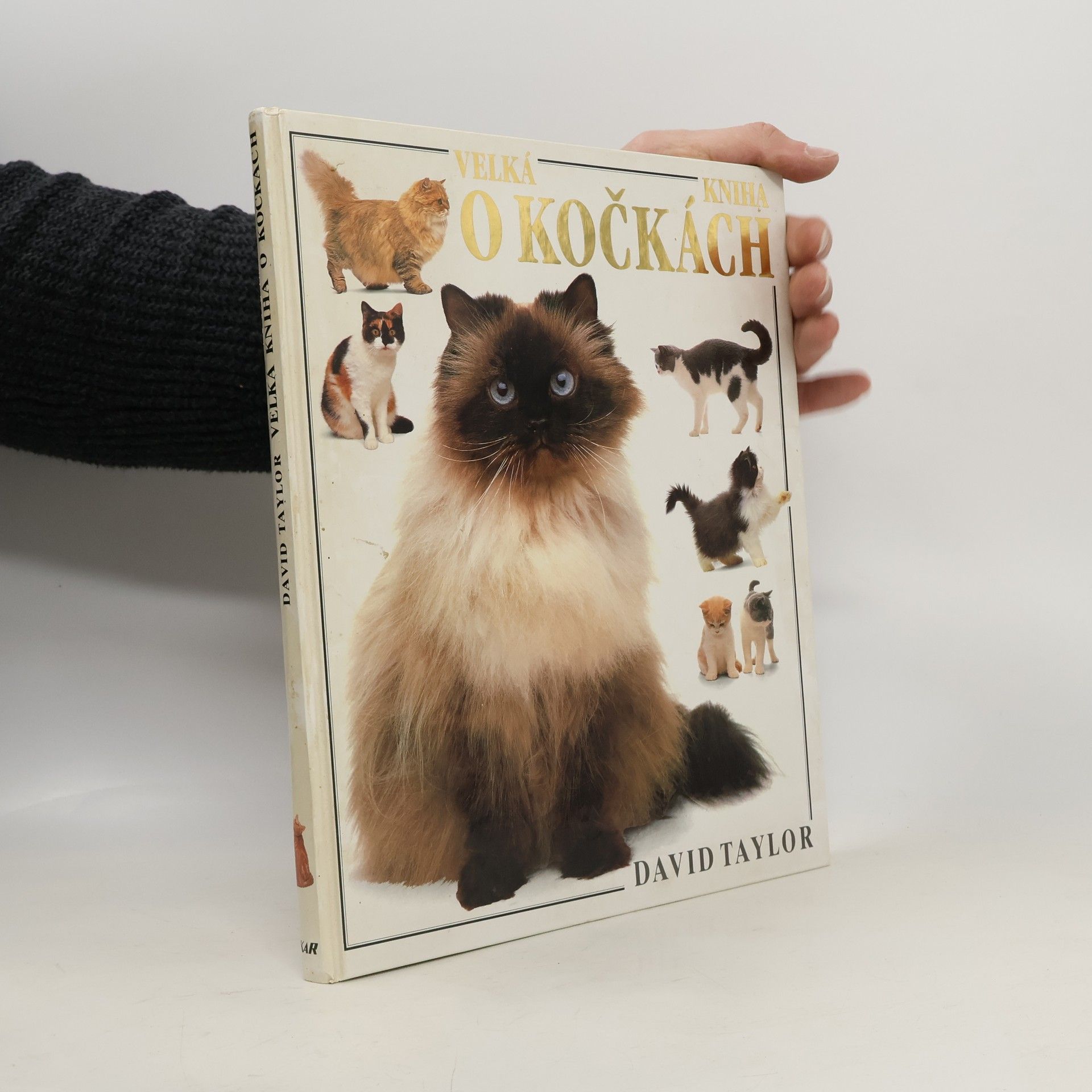 David Taylor Velká kniha o kočkách