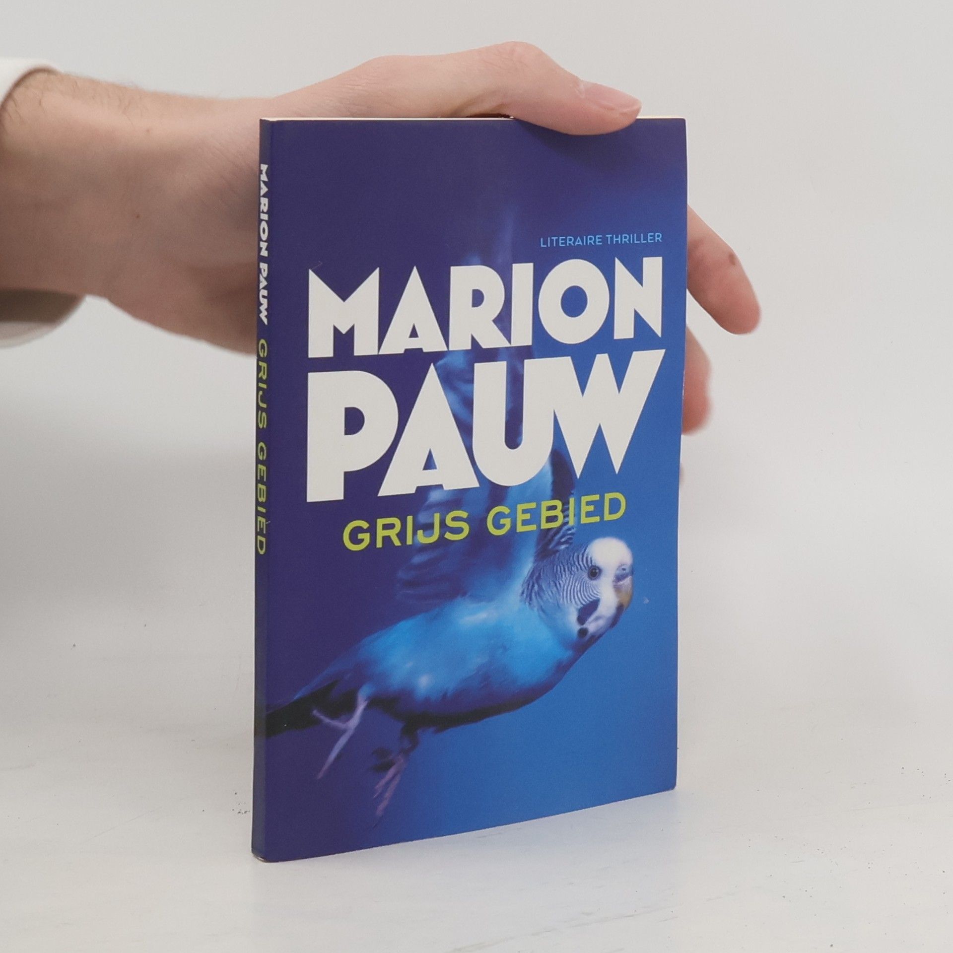Marion Pauw Grijs gebied