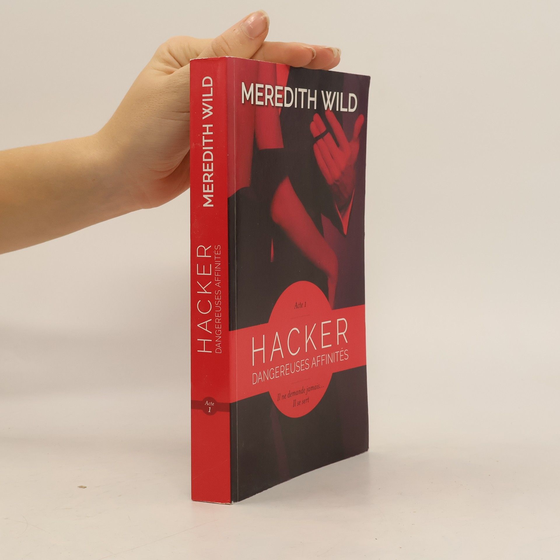 Meredith Wild Dangereuses affinités