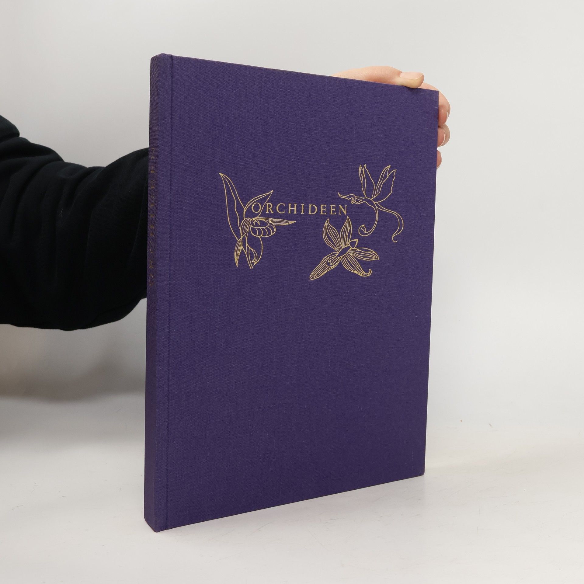 Autorenkollektiv Orchideen