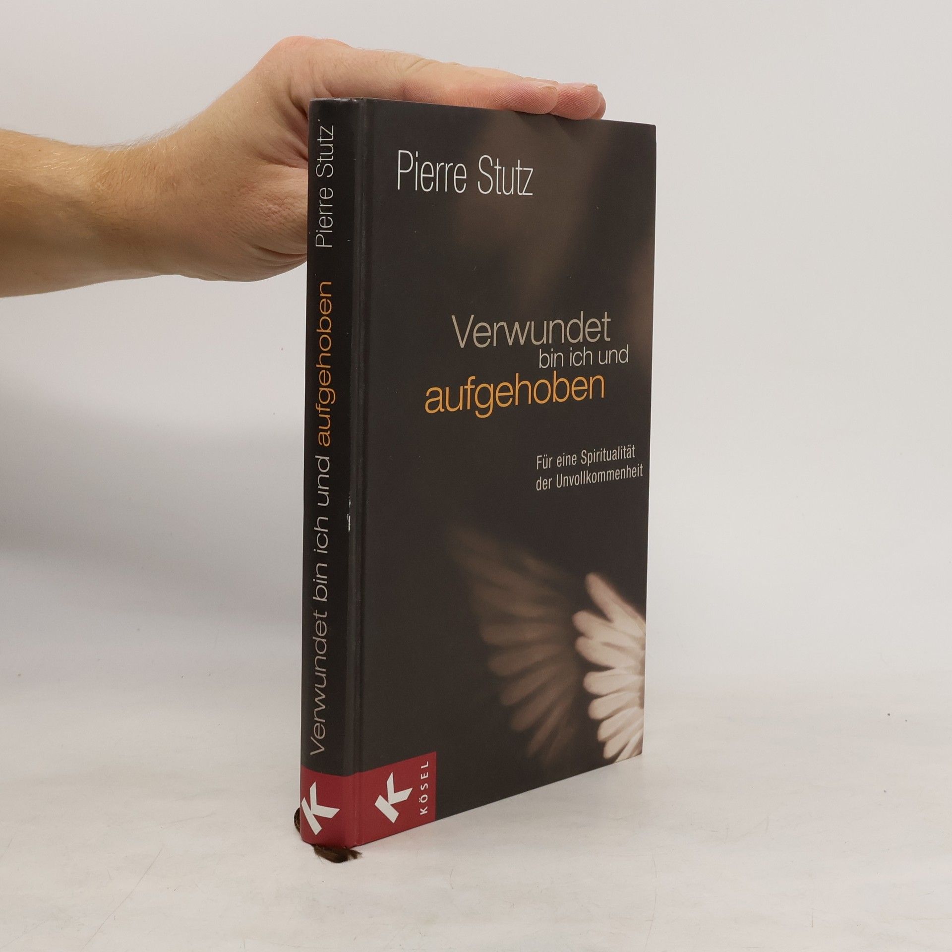 Pierre Stutz Verwundet bin ich und aufgehoben