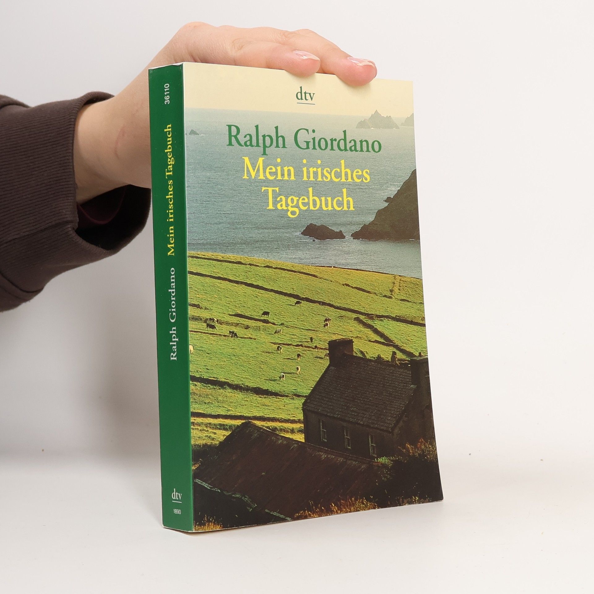 Mein irisches Tagebuch