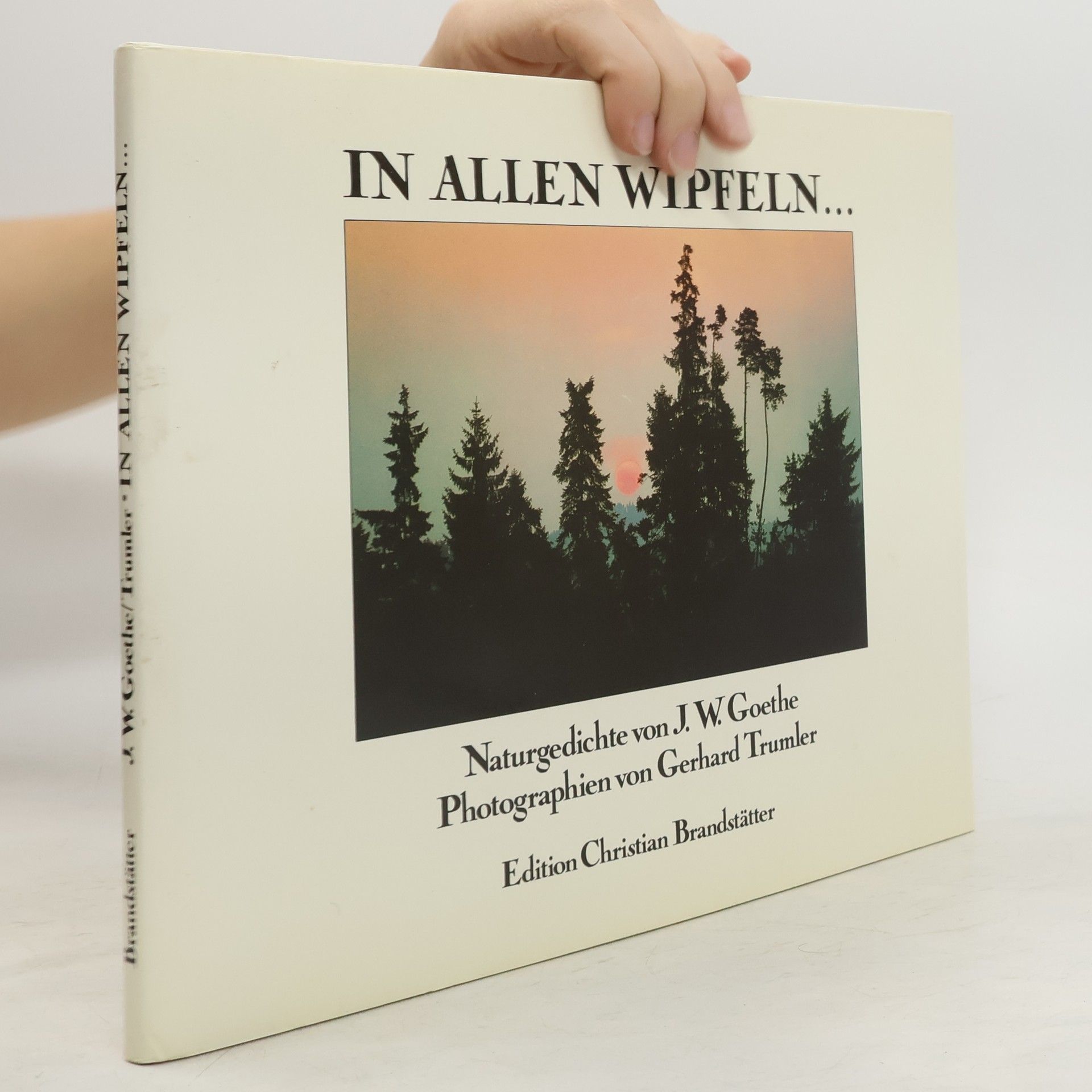 Johann Wolfgang von Goethe In allen Wipfeln