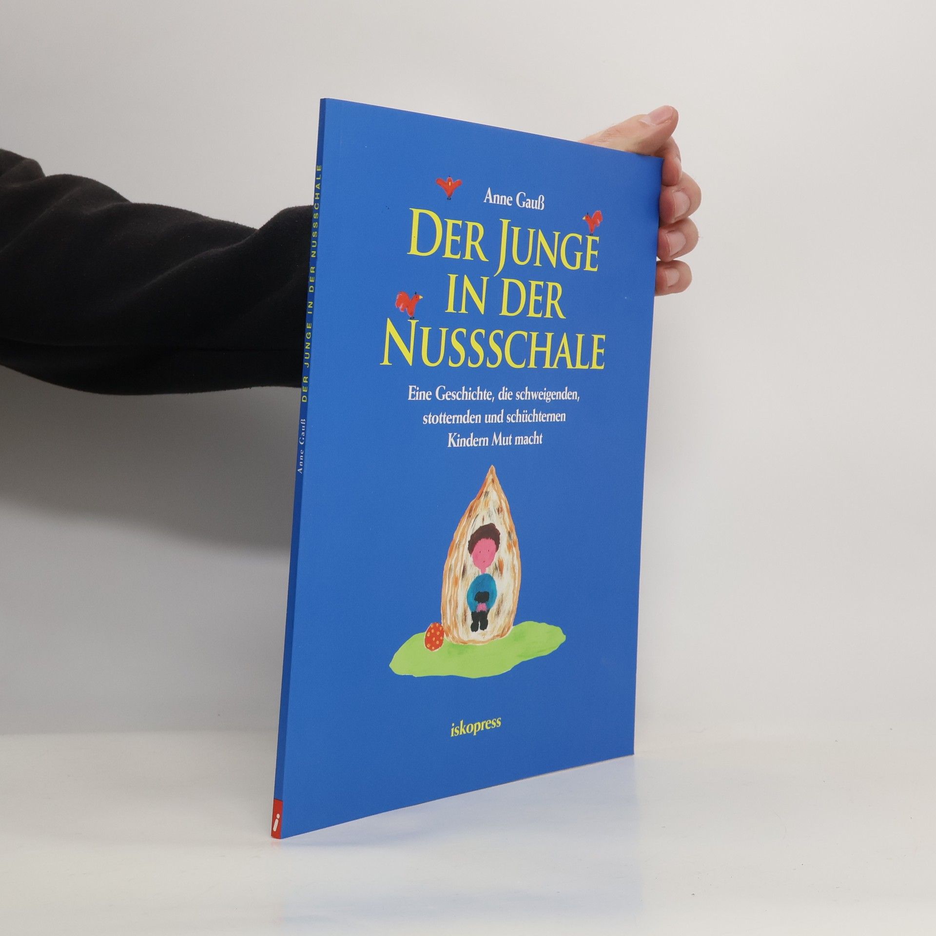 Anne Gauß Der Junge in der Nussschale