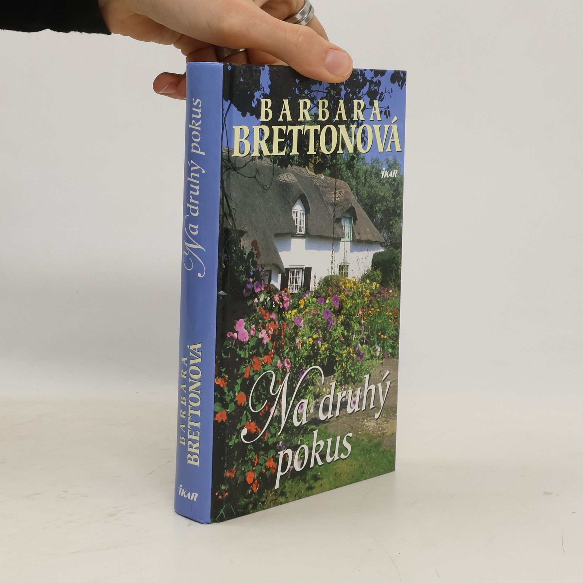 Barbara Bretton Na druhý pokus