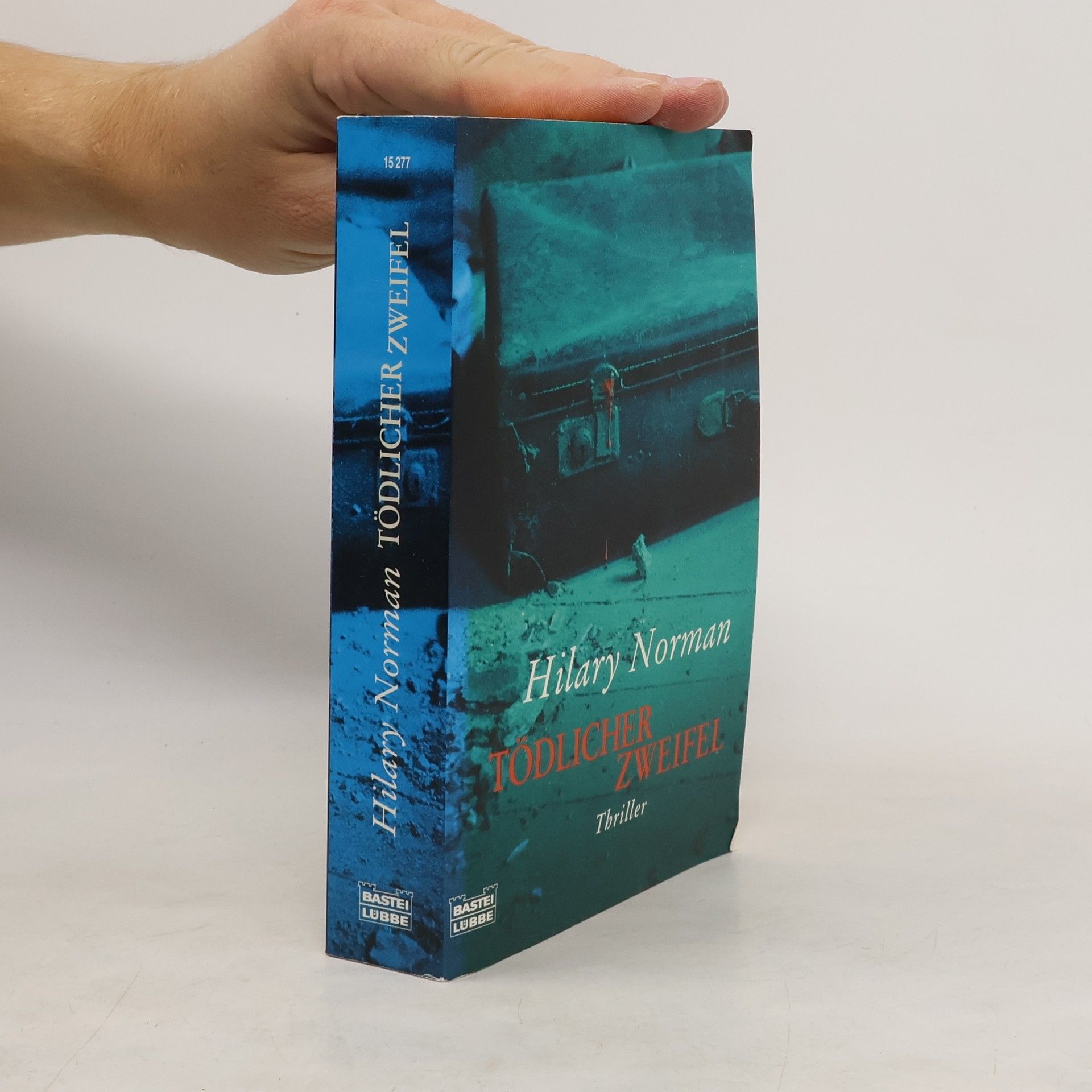 Hilary Norman Tödlicher Zweifel
