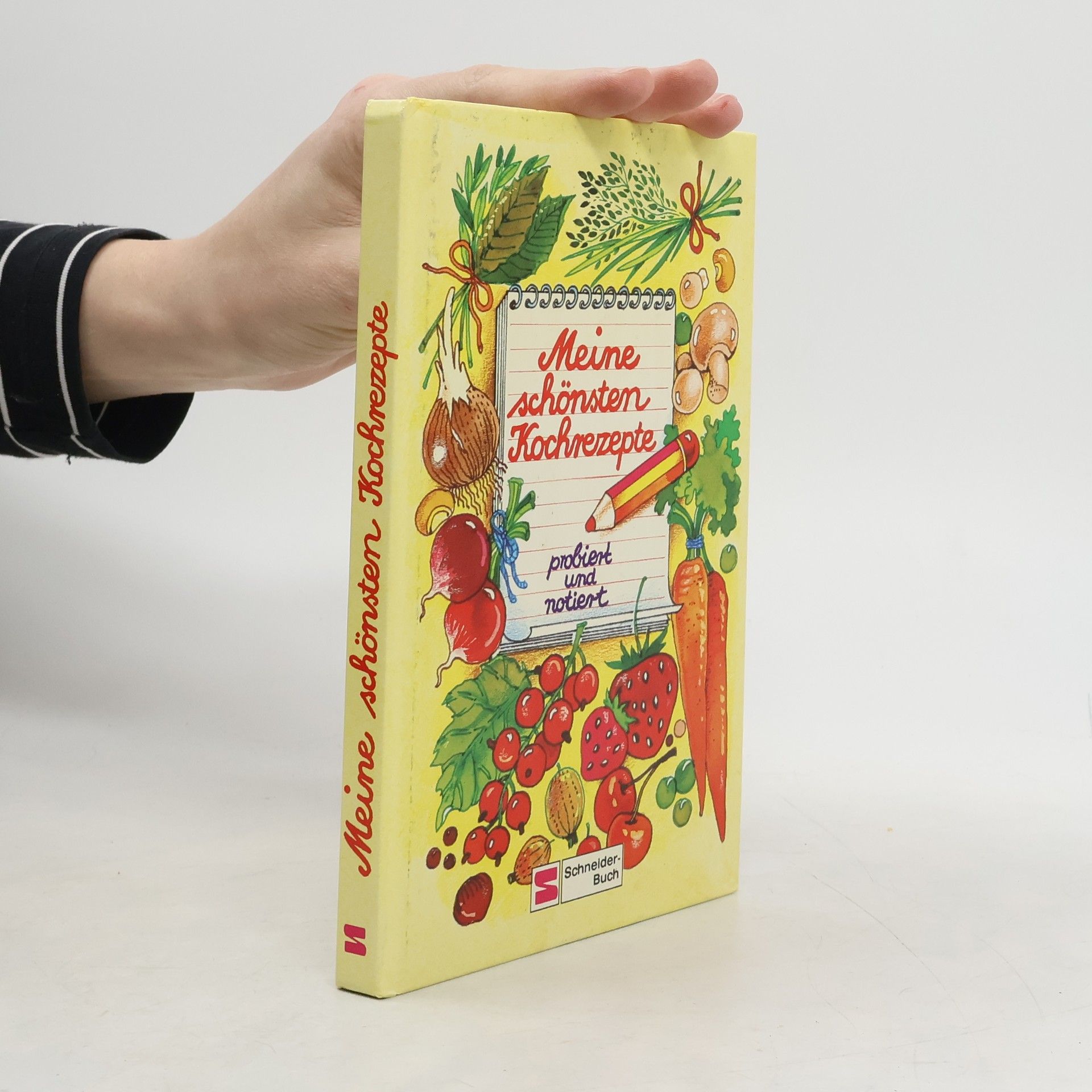 Collectif d'auteurs Meine schönsten Kochrezepte