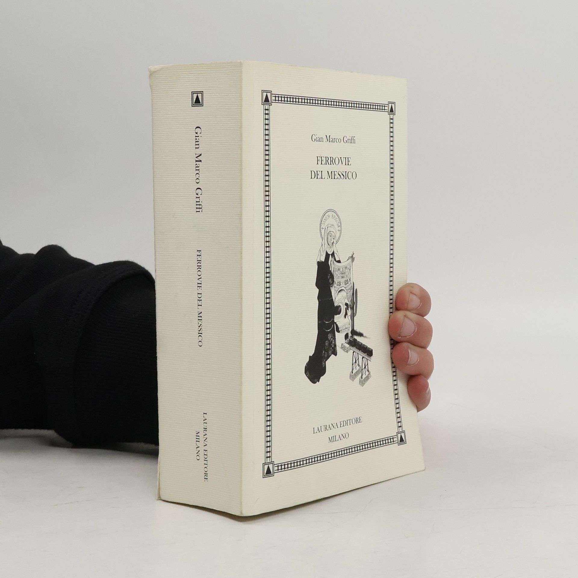 Ferrovie del Messico