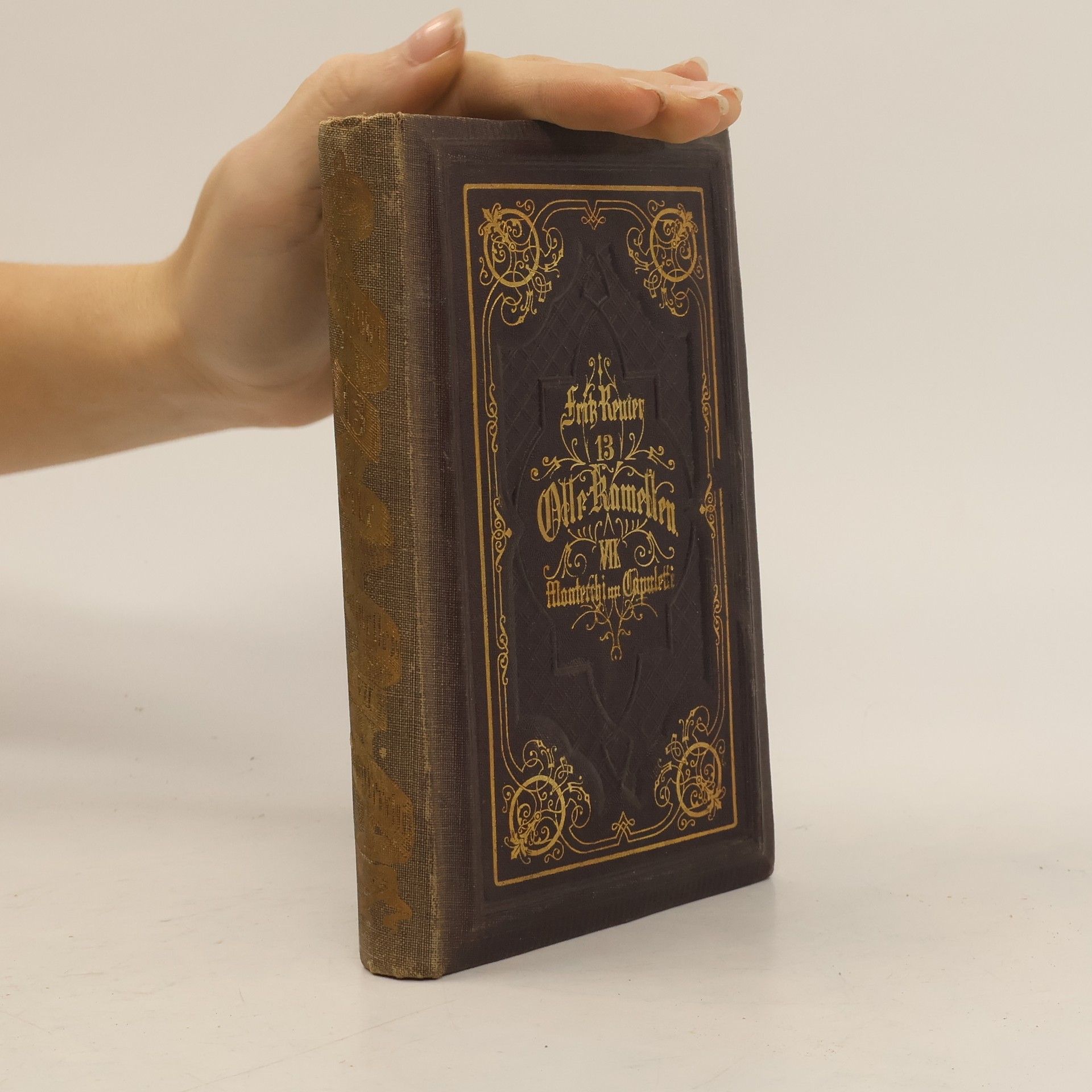 Fritz Reuter Olle Kamellen 13. VII