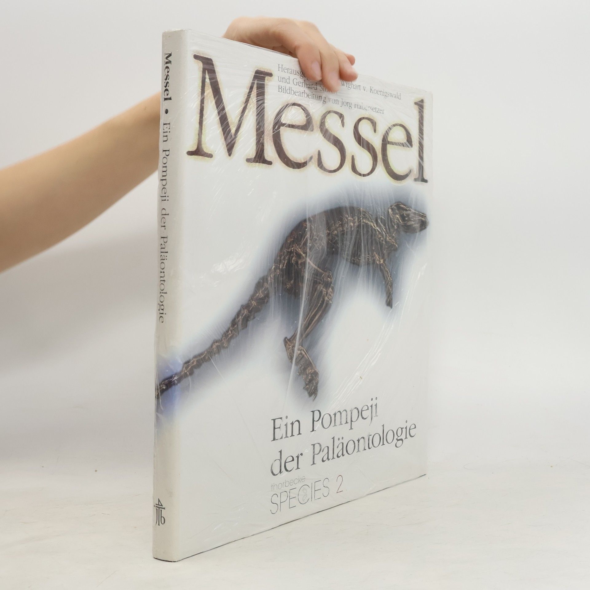 Messel