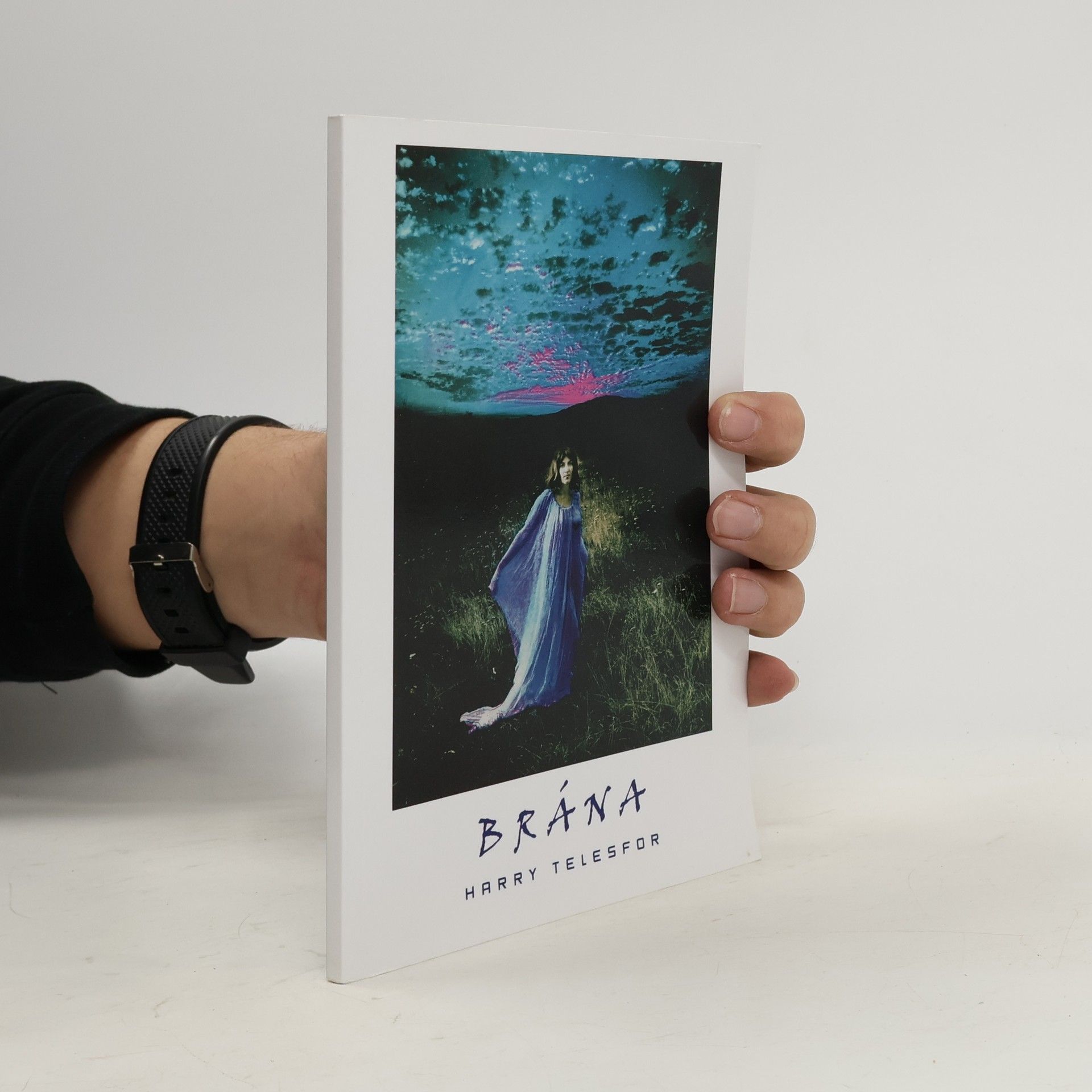 Dalibor Stach Brána