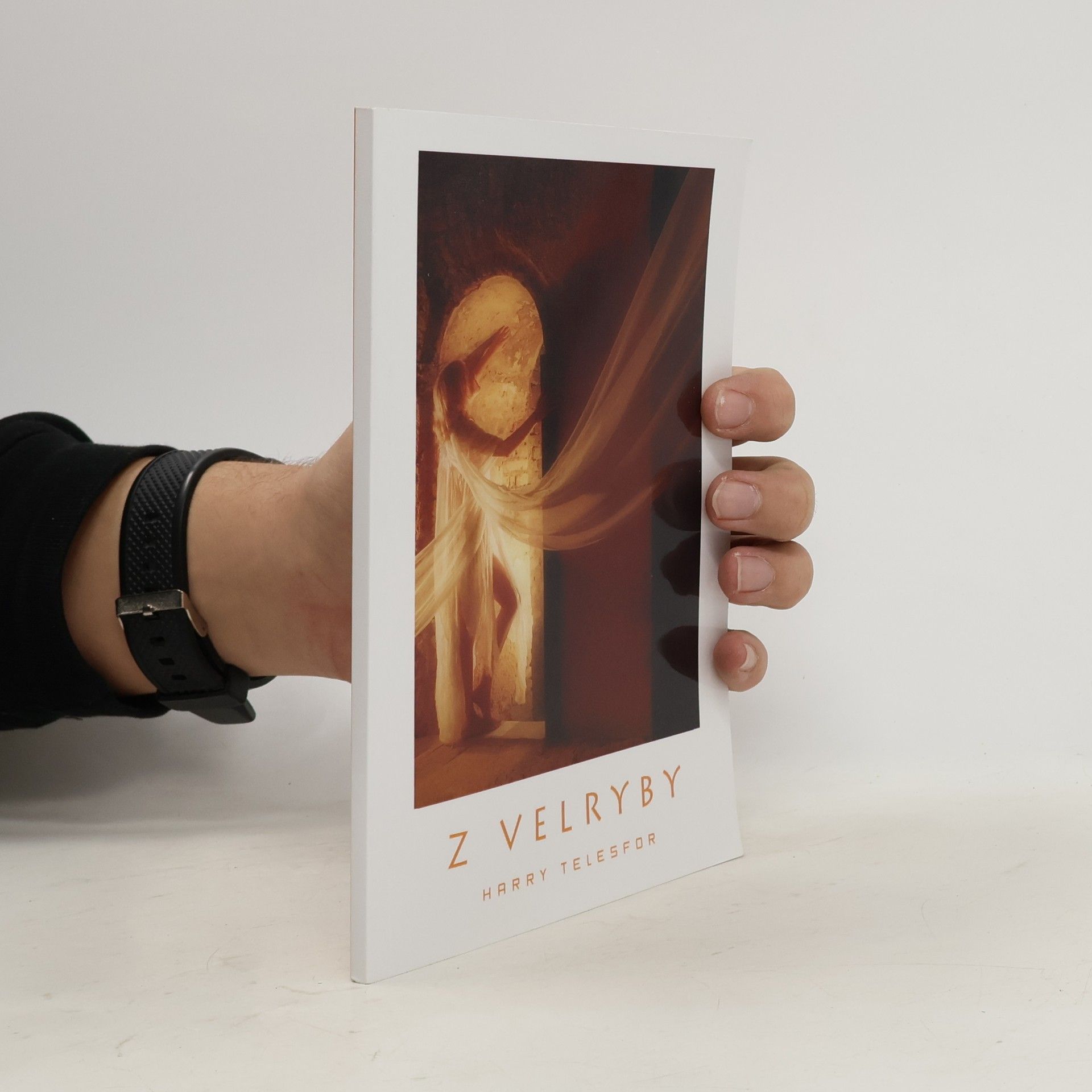 Dalibor Stach Z velryby: 1993-95 : metafyzický příběh