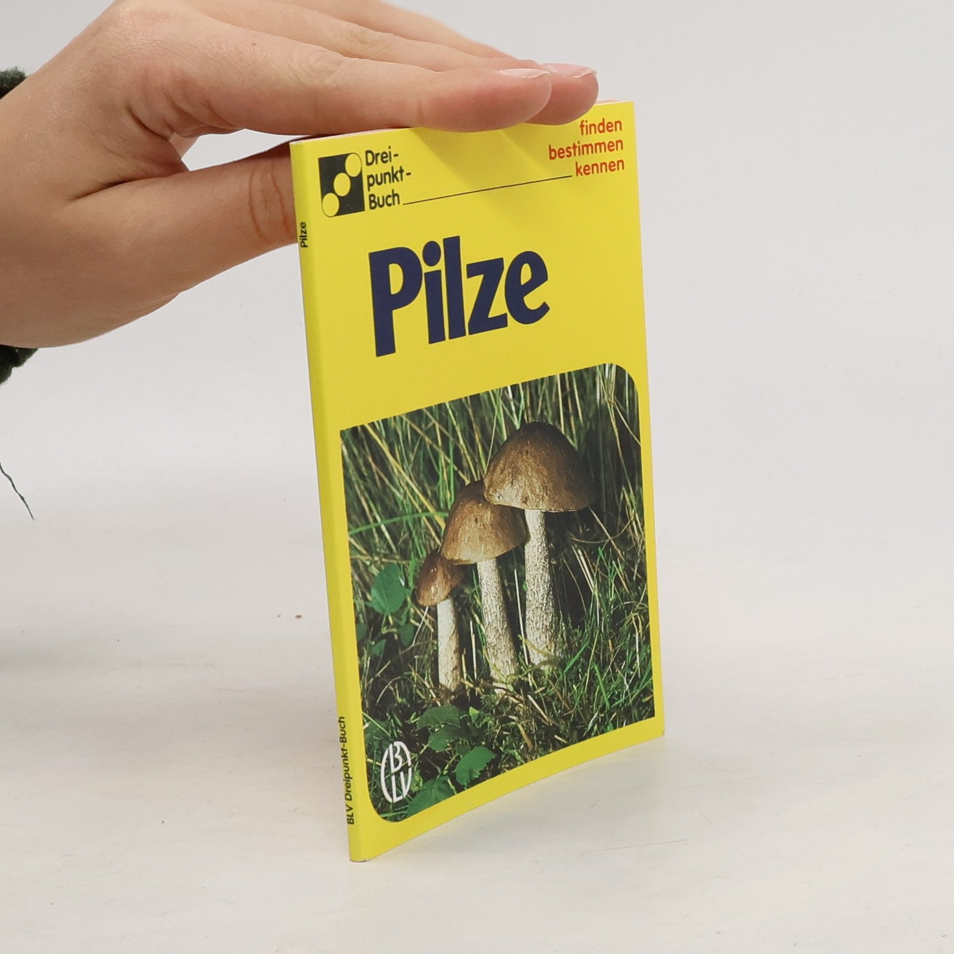 Autorenkollektiv Pilze