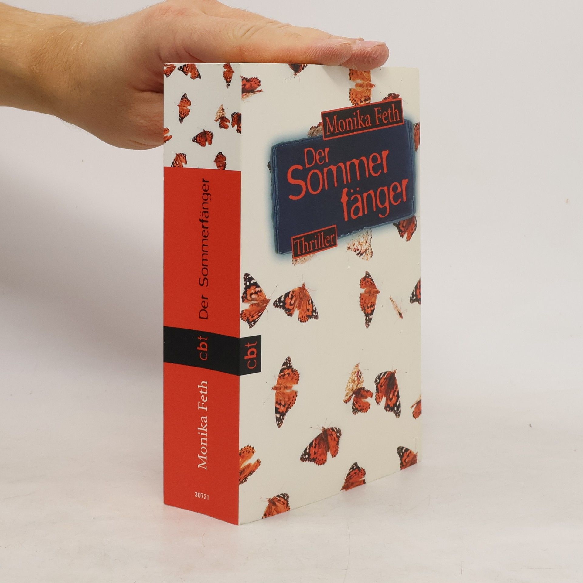 Monika Feth Der Sommerfänger