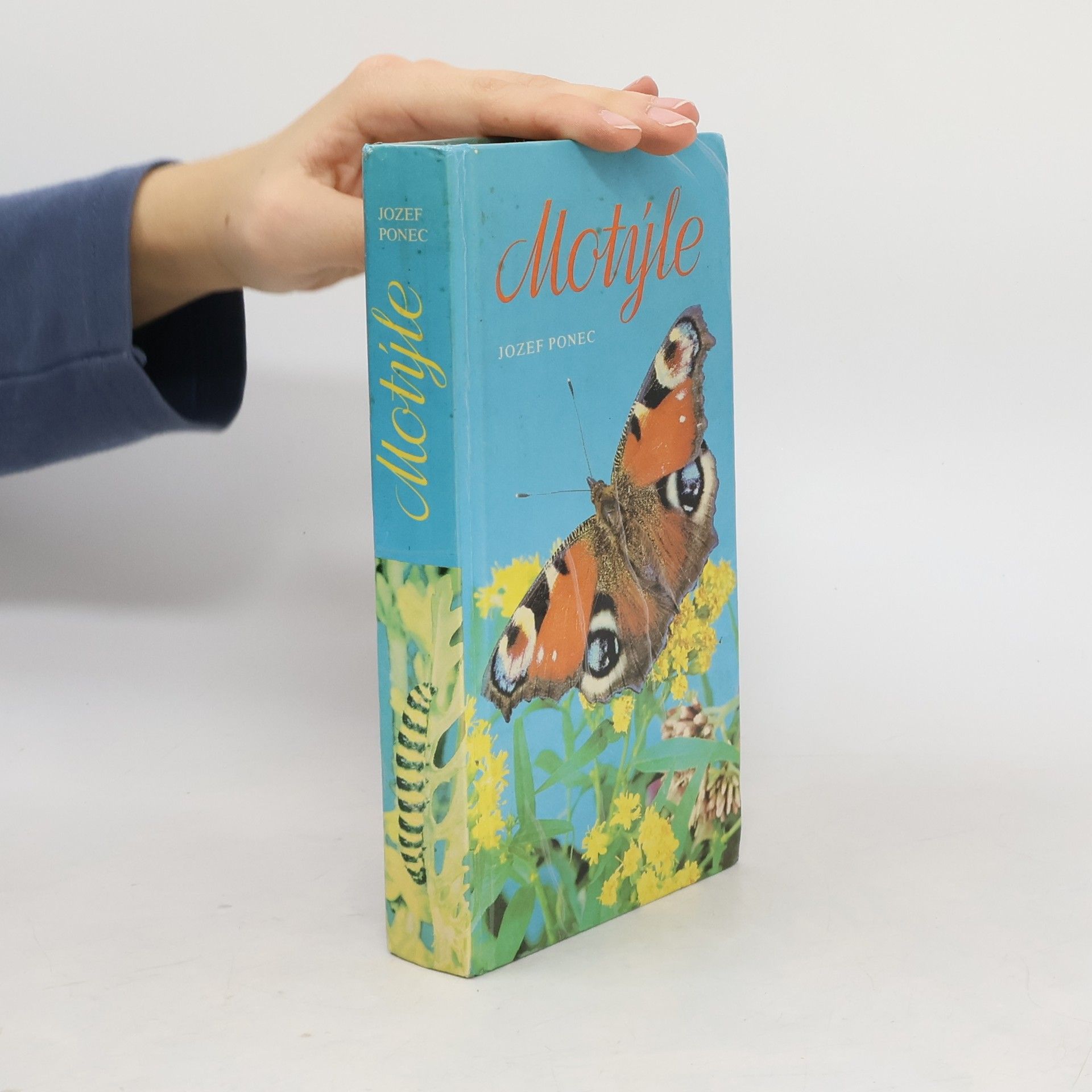 Jozef Ponec Motýle