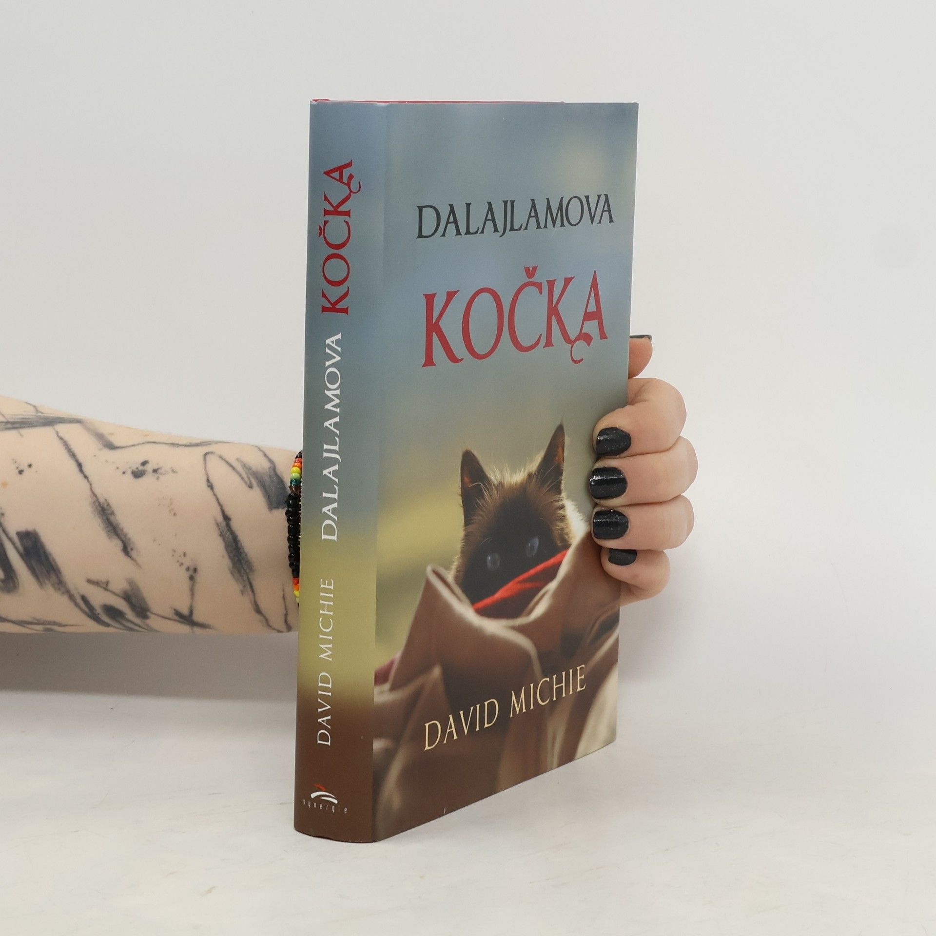 David Michie Dalajlamova kočka