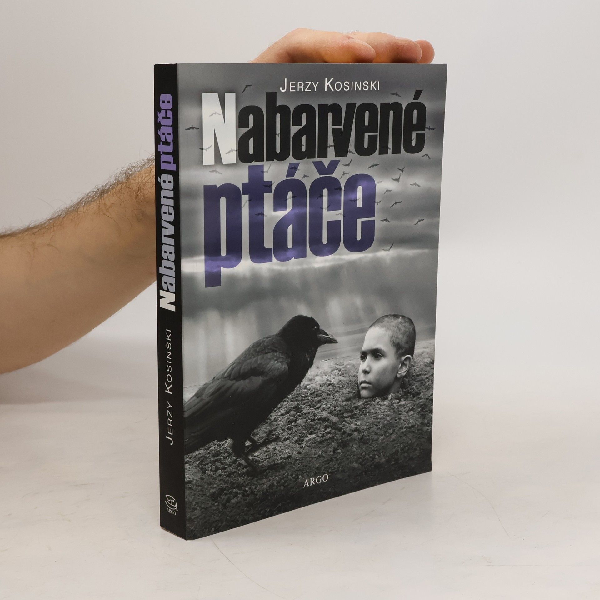 Jerzy Kosinski Nabarvené ptáče