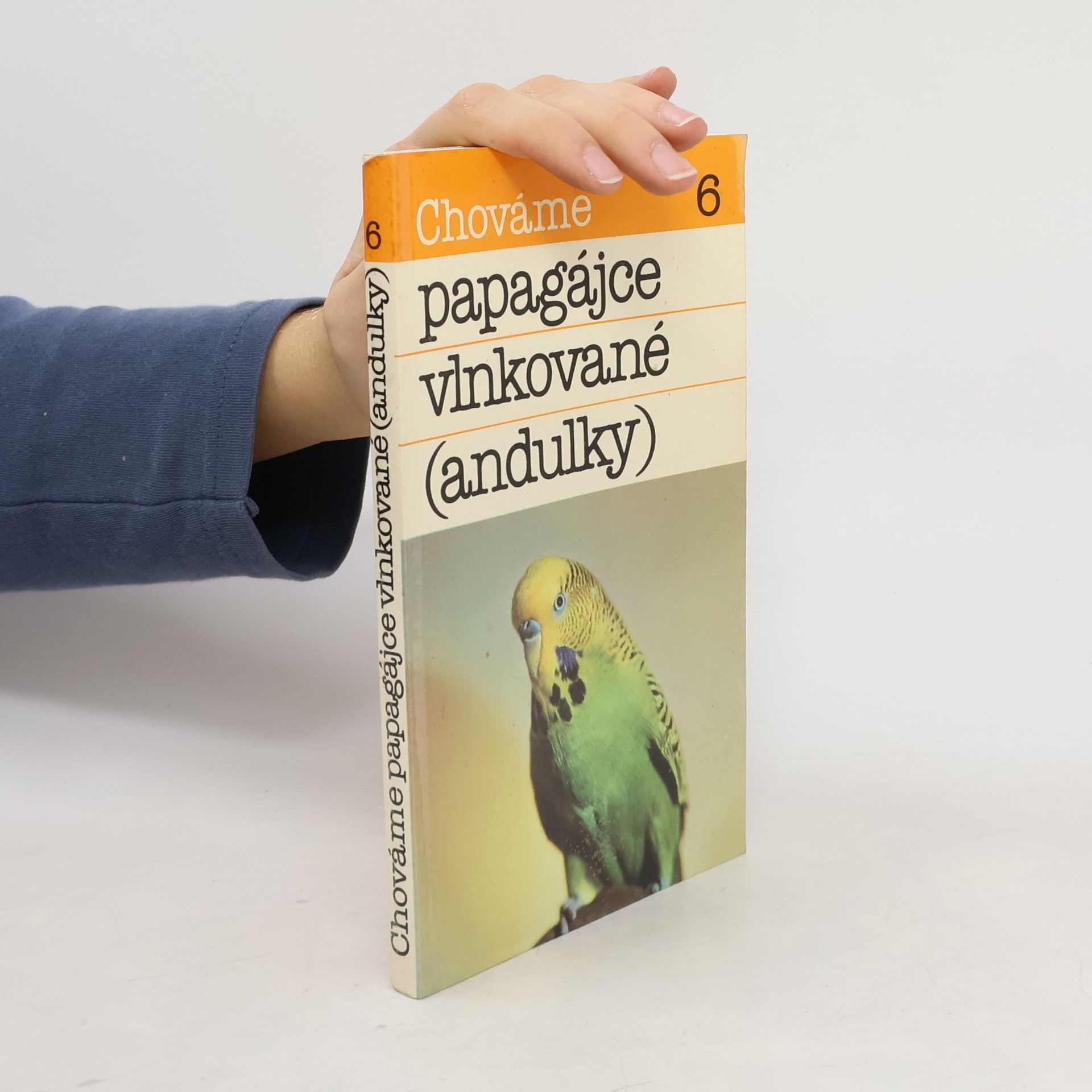 Bystrík Ambruš Chováme papagájce vlnkované (andulky)