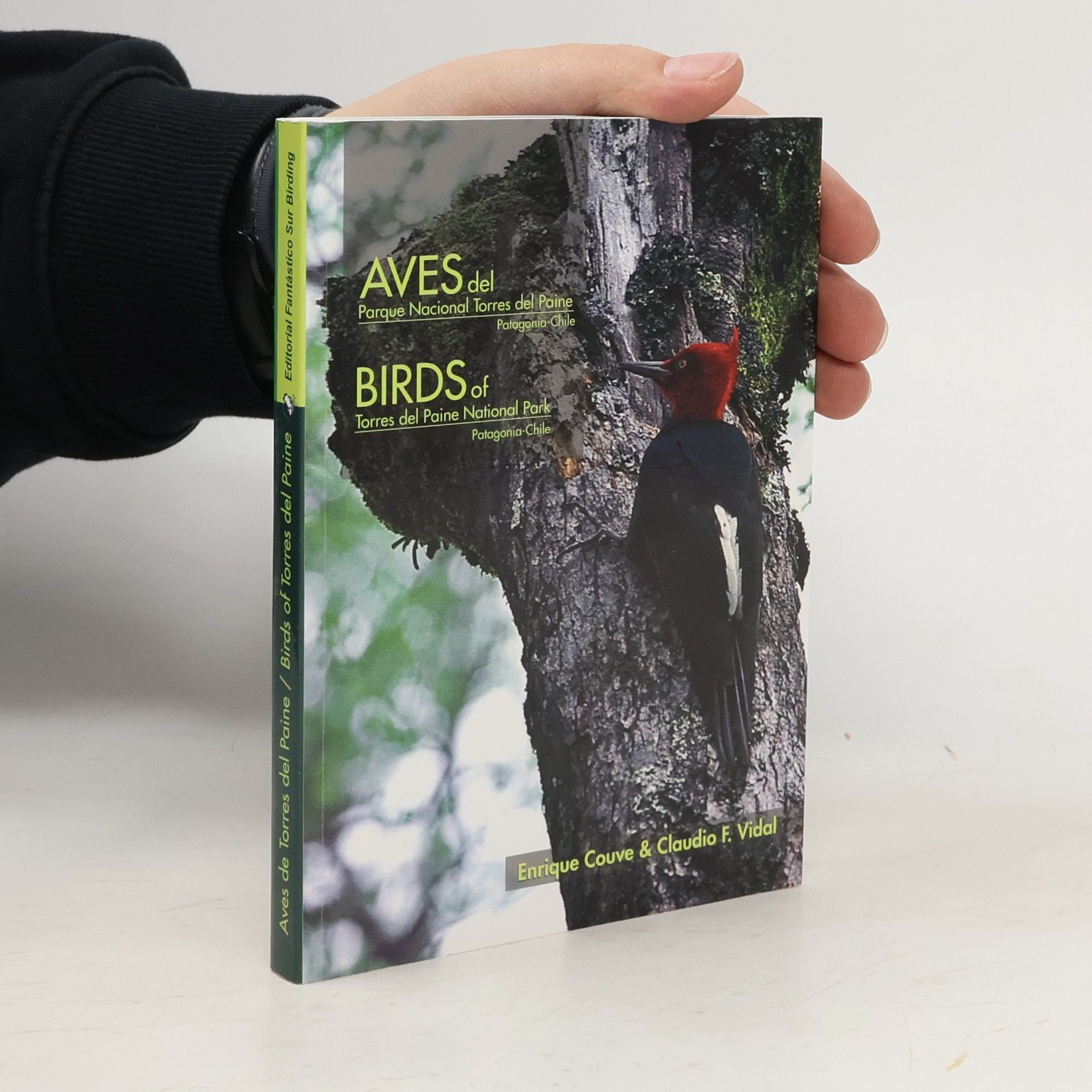 Enrique Couve Aves del Parque Nacional Torres del Paine - Patagonia Chile / Birds of Torres del Paine National Park - Patagonia Chile