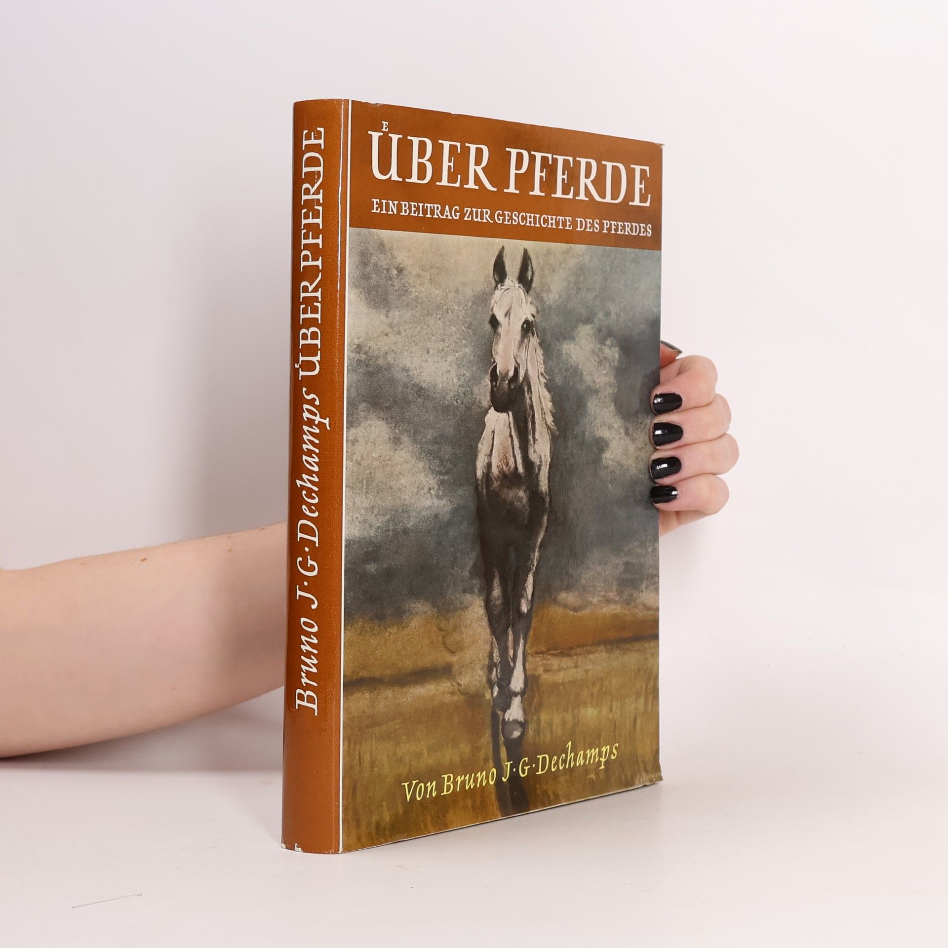 Bruno J. G. Dechamps Über Pferde