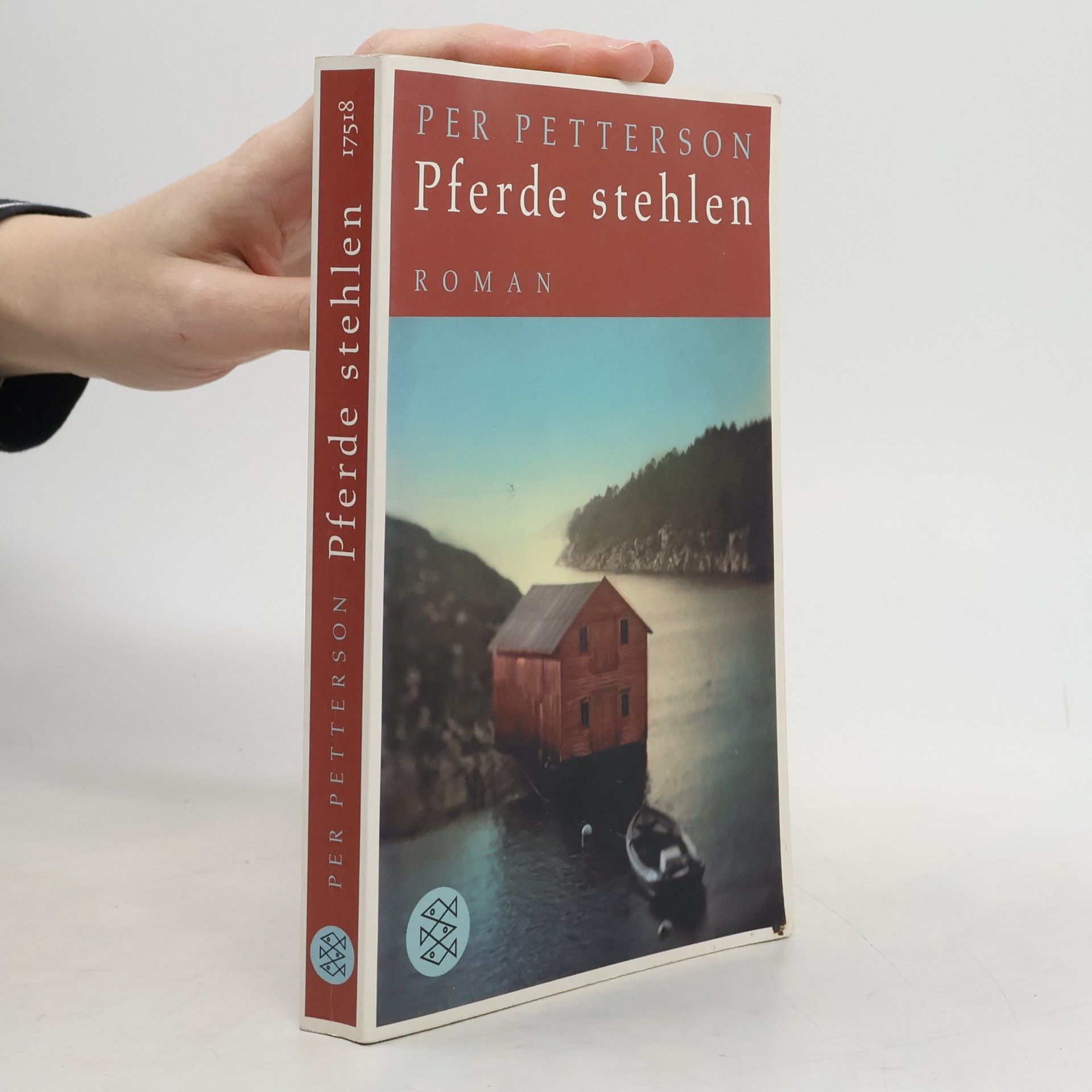 Per Petterson Pferde stehlen