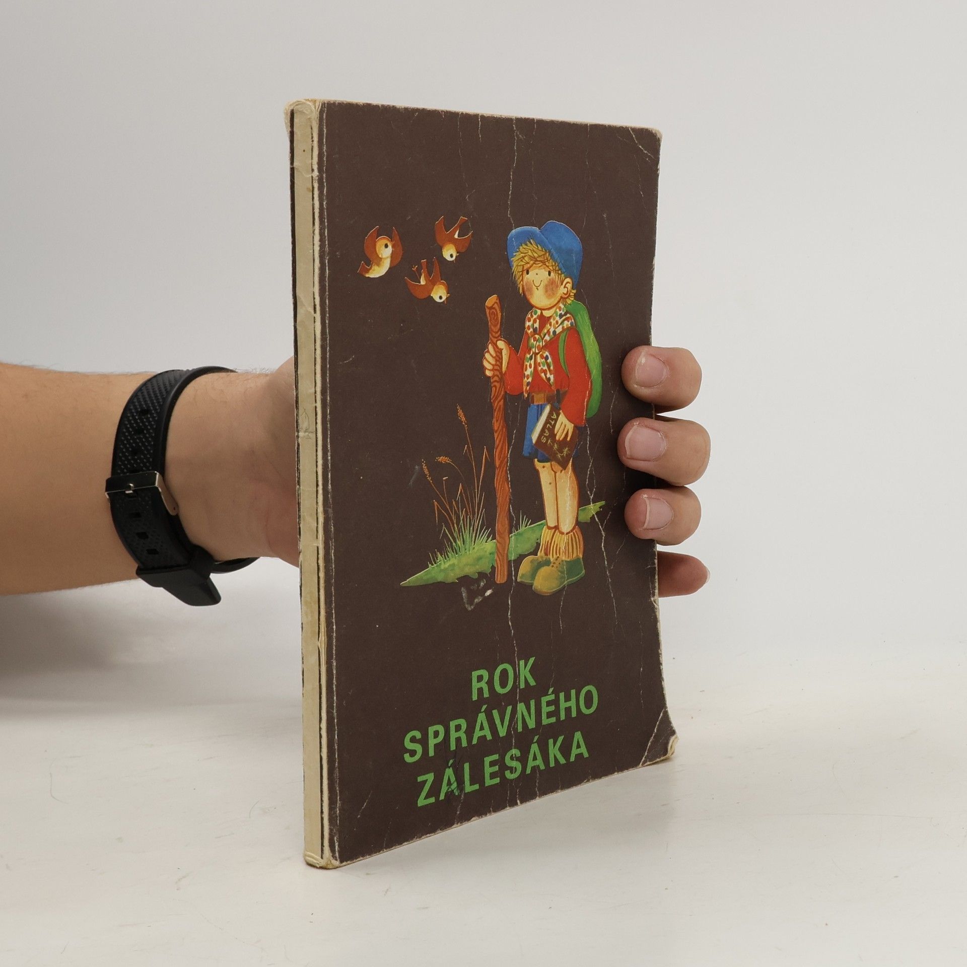 Rok správného zálesáka