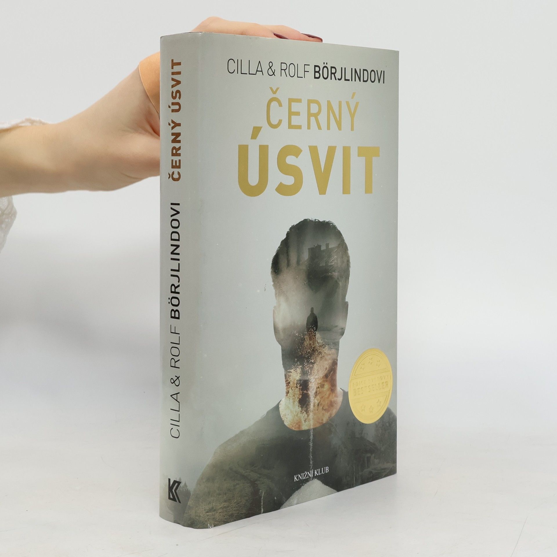 Cilla Börjlind Černý úsvit (3. díl)