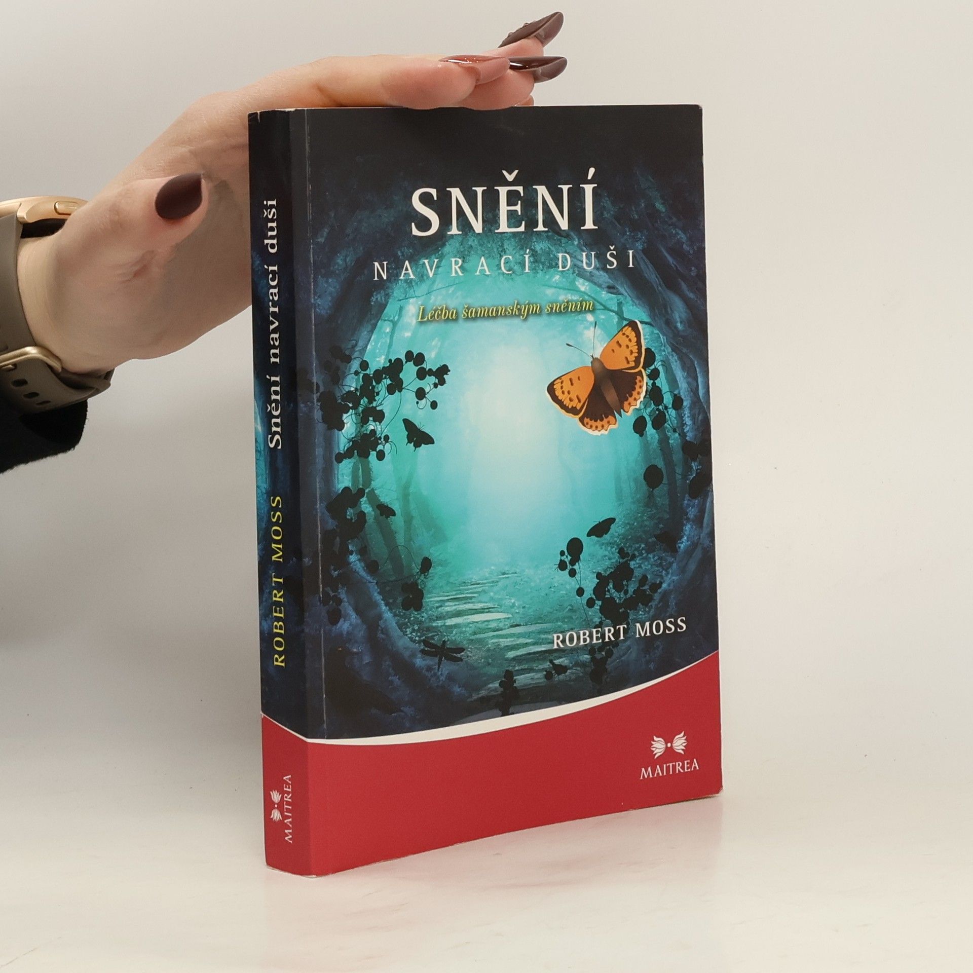 Robert Moss Snění navrací duši. Léčba šamanským sněním