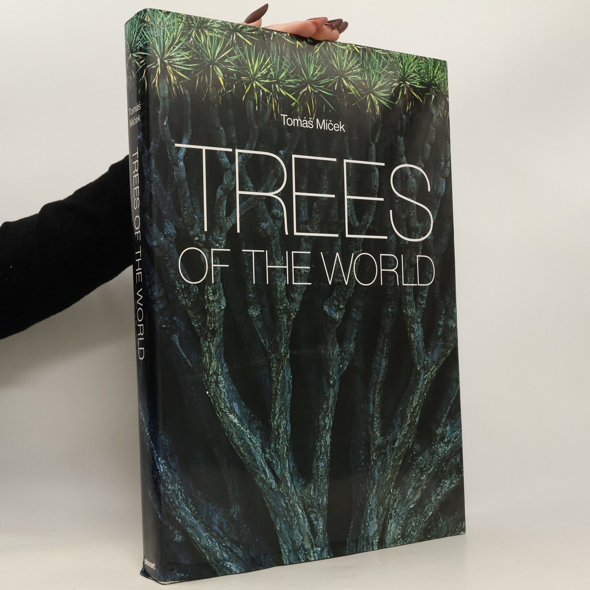 Tomáš Míček Trees of the World