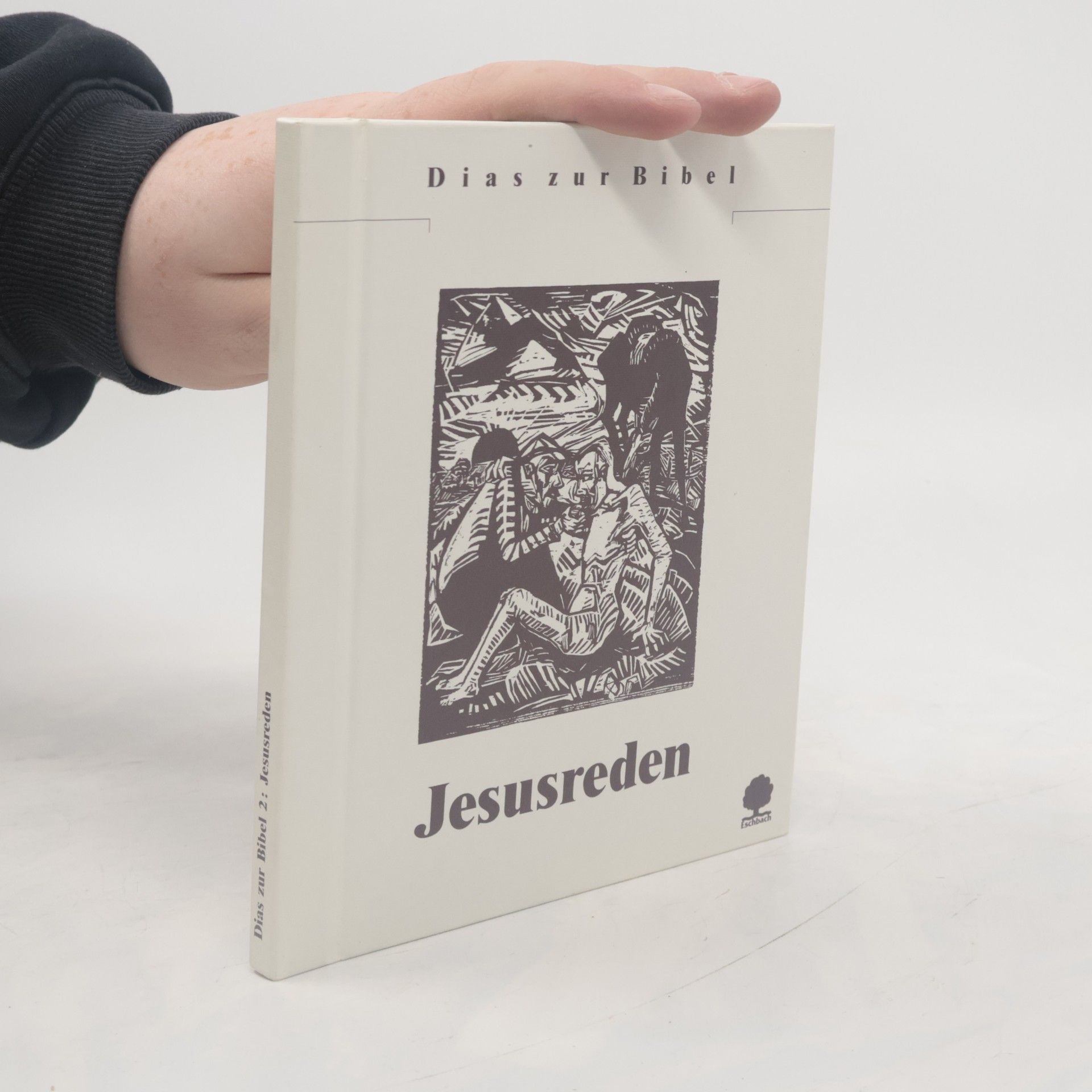 45 a89 Dias zur Bibel - 2: Jesusreden