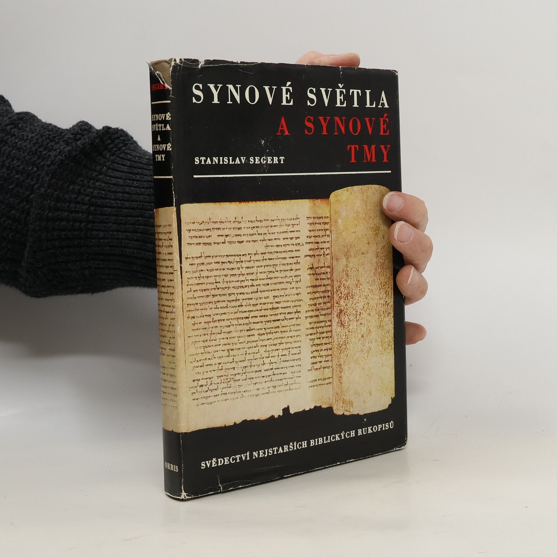 Synové světla a synové tmy