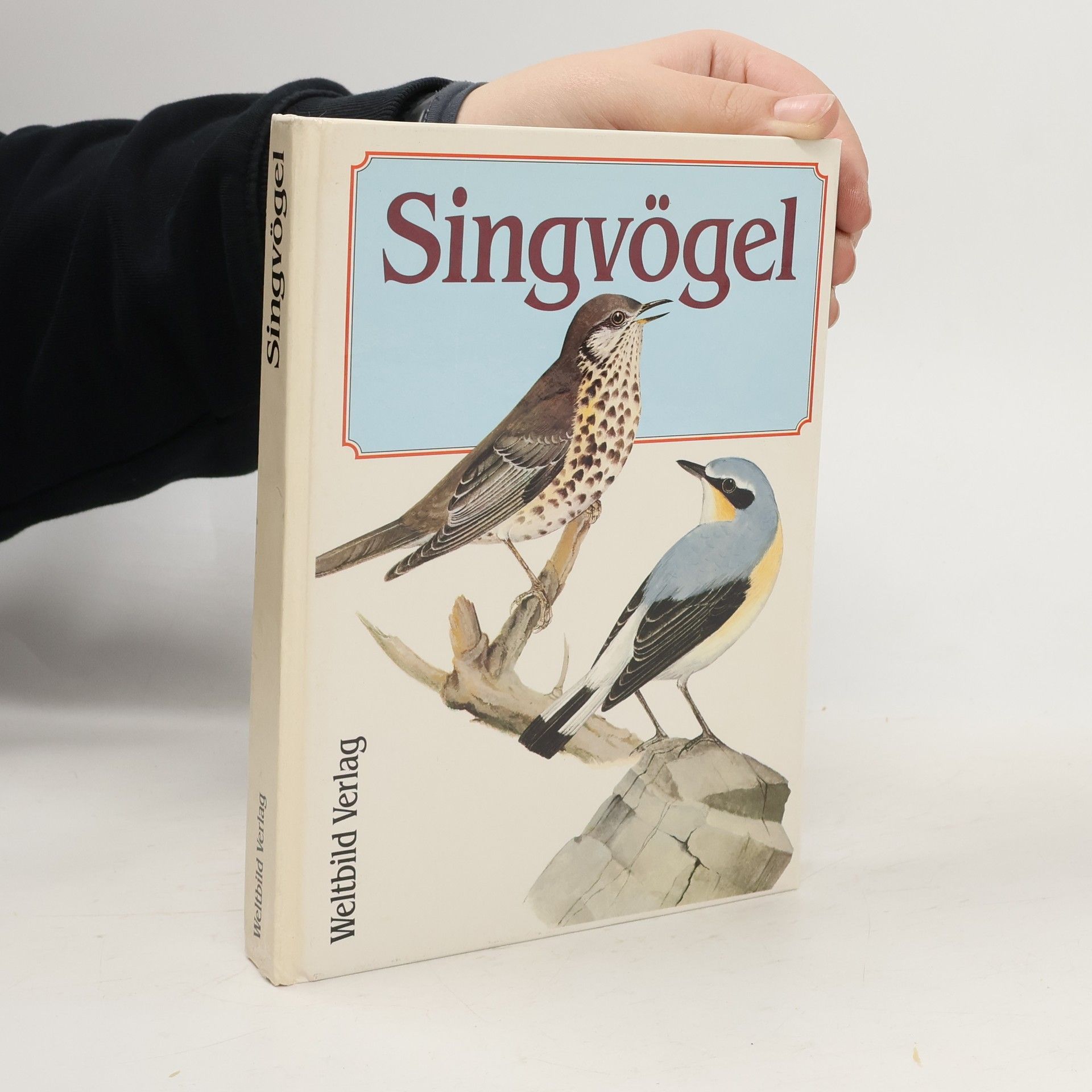 Kolektiv autorů Singvögel